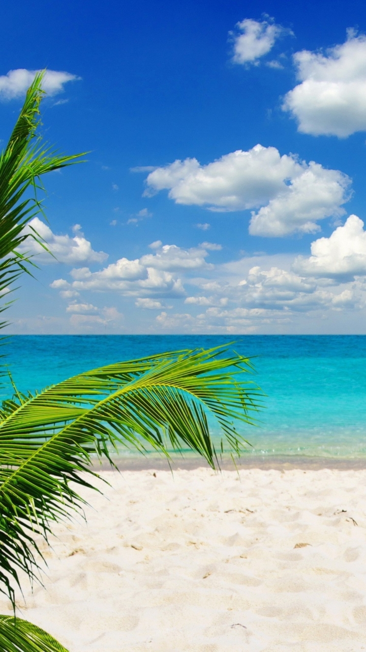 Download mobile wallpaper Sky, Sea, Shore, Earth, Tropics, Tropical for free.