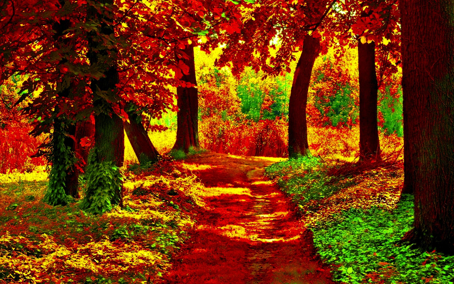 Free download wallpaper Forest, Tree, Leaf, Fall, Earth, Path, Man Made on your PC desktop