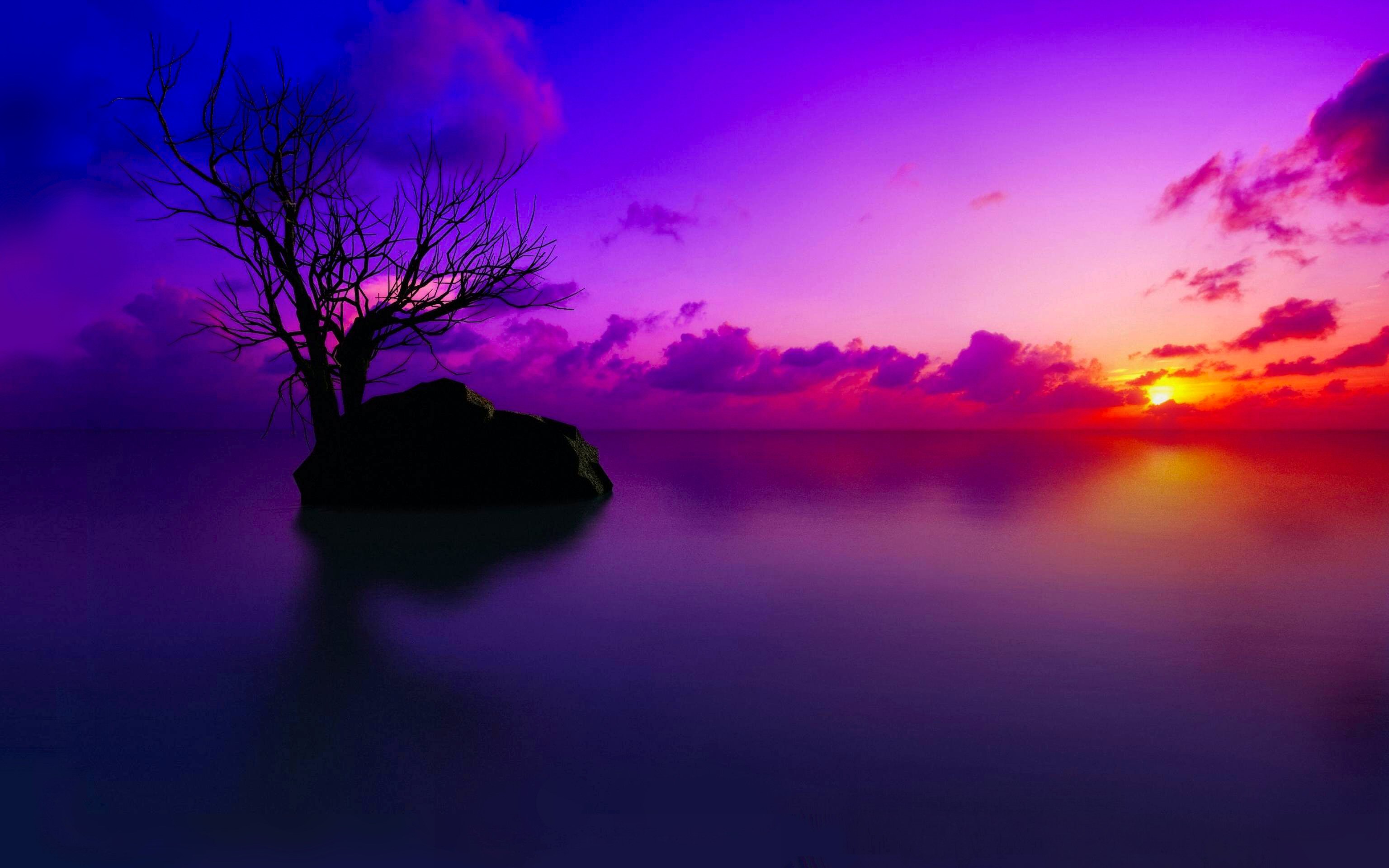 Download mobile wallpaper Sunset, Sky, Horizon, Tree, Earth, Purple, Cloud for free.