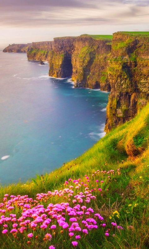 Download mobile wallpaper Grass, Flower, Coast, Earth, Cliff, Coastline for free.