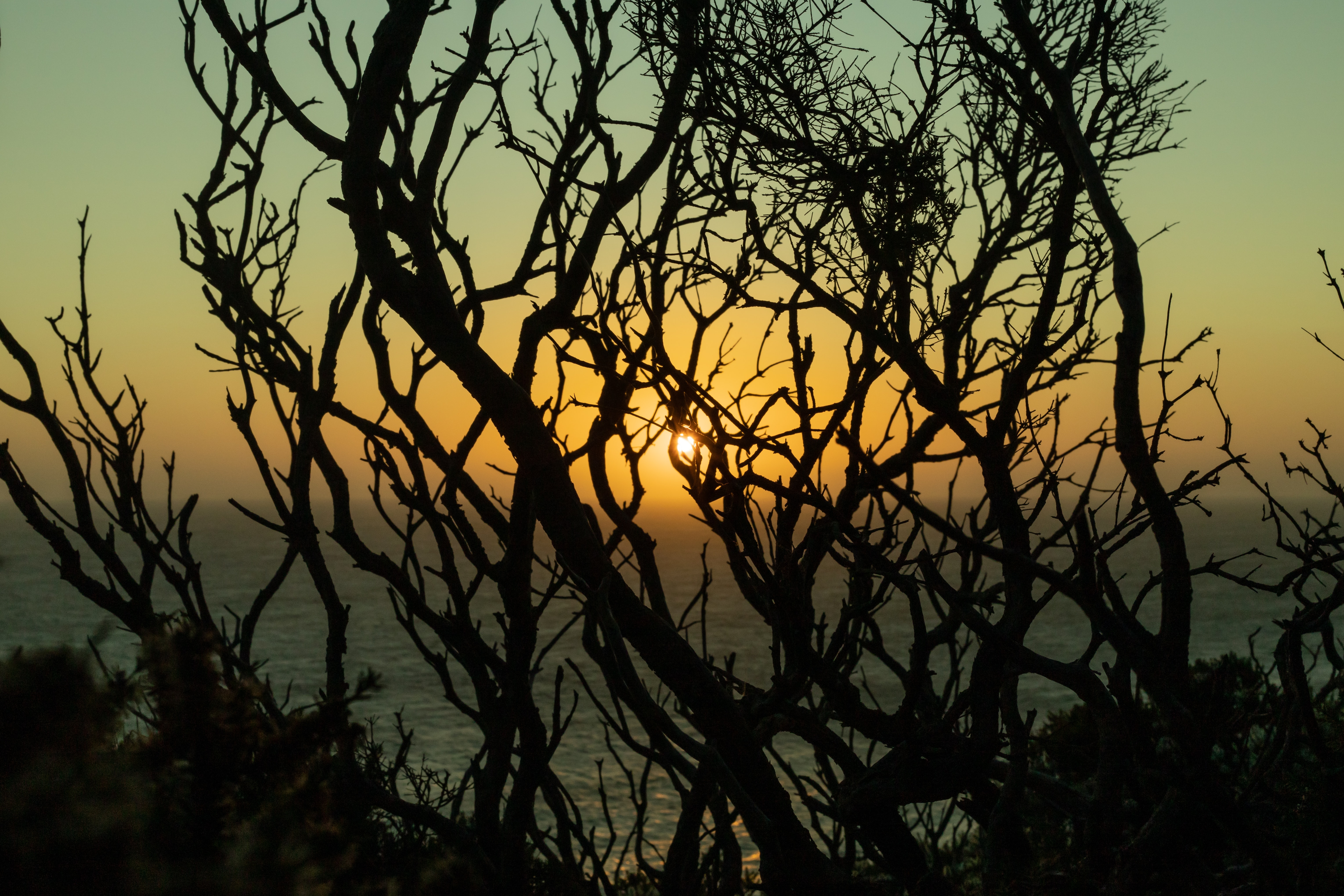 Download mobile wallpaper Branches, Dusk, Sunset, Twilight, Trees, Sun, Nature for free.