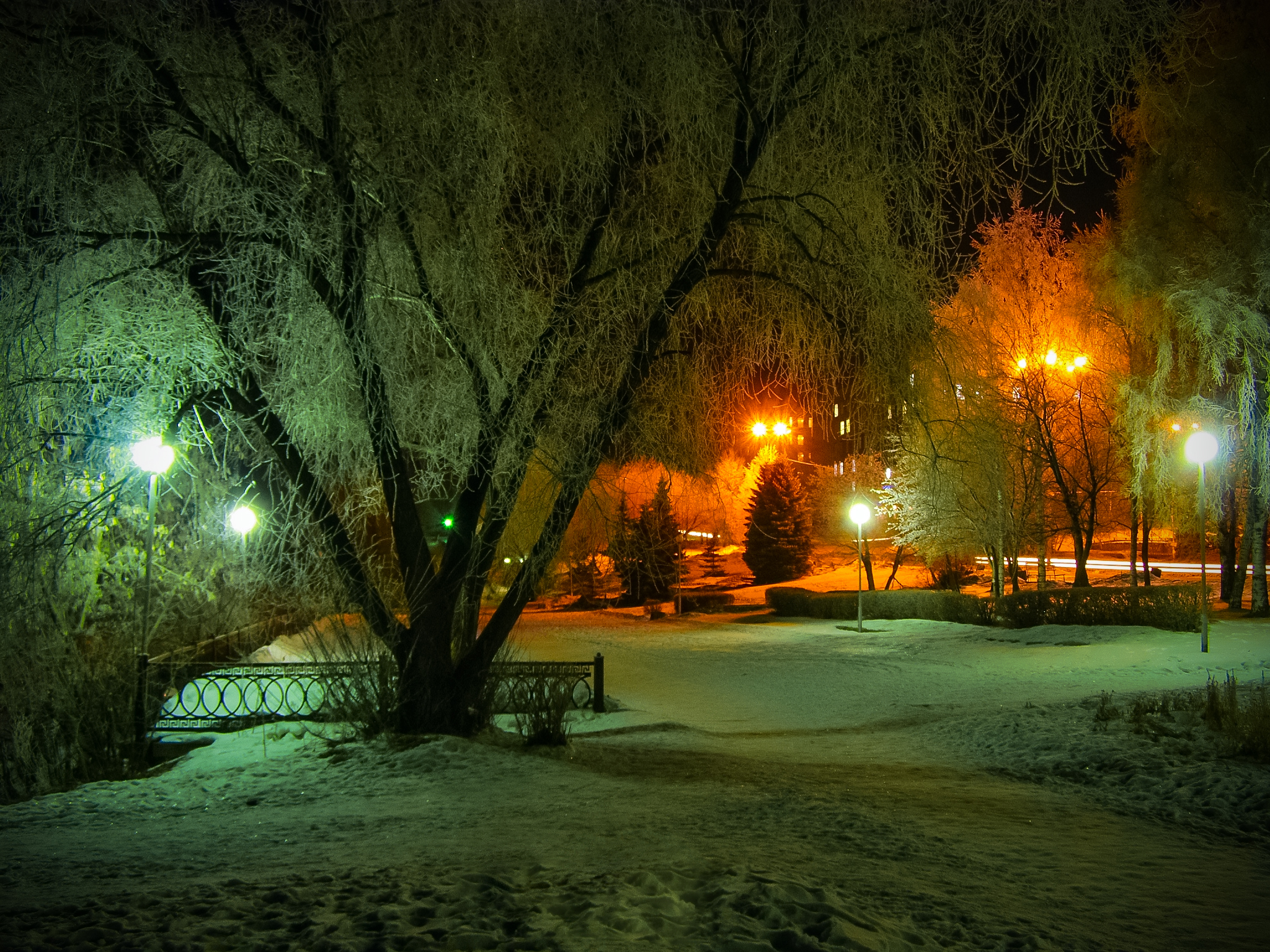 Download mobile wallpaper Winter, Night, Light, Park, Tree, Earth, Photography for free.