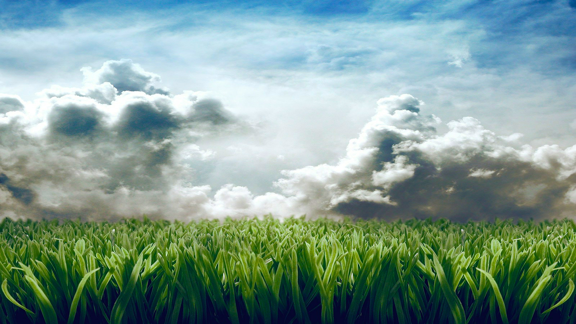 Download mobile wallpaper Grass, Earth for free.