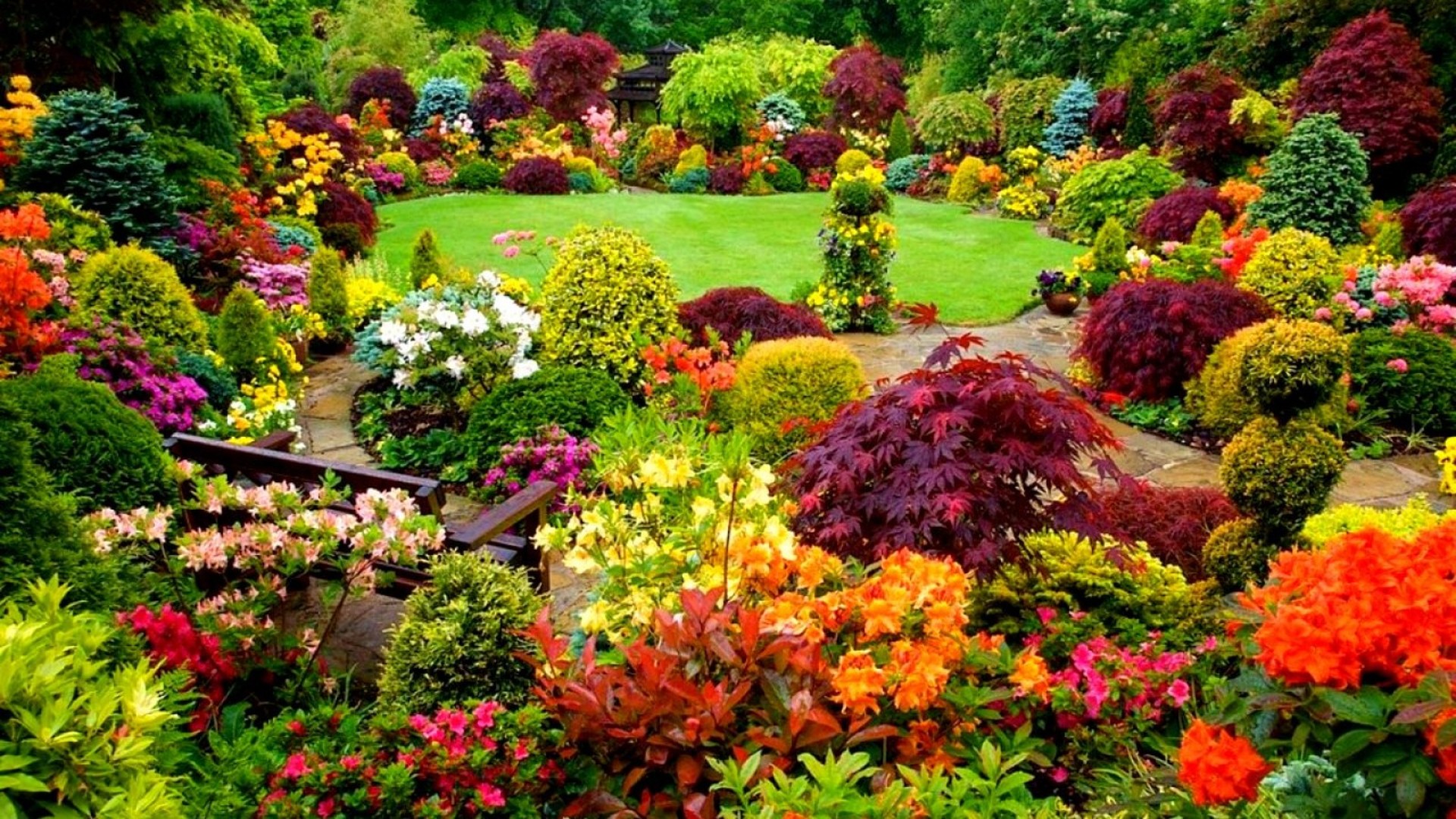 Baixe gratuitamente a imagem Flor, Plantar, Cair, Cores, Jardim, Colorido, Feito Pelo Homem na área de trabalho do seu PC