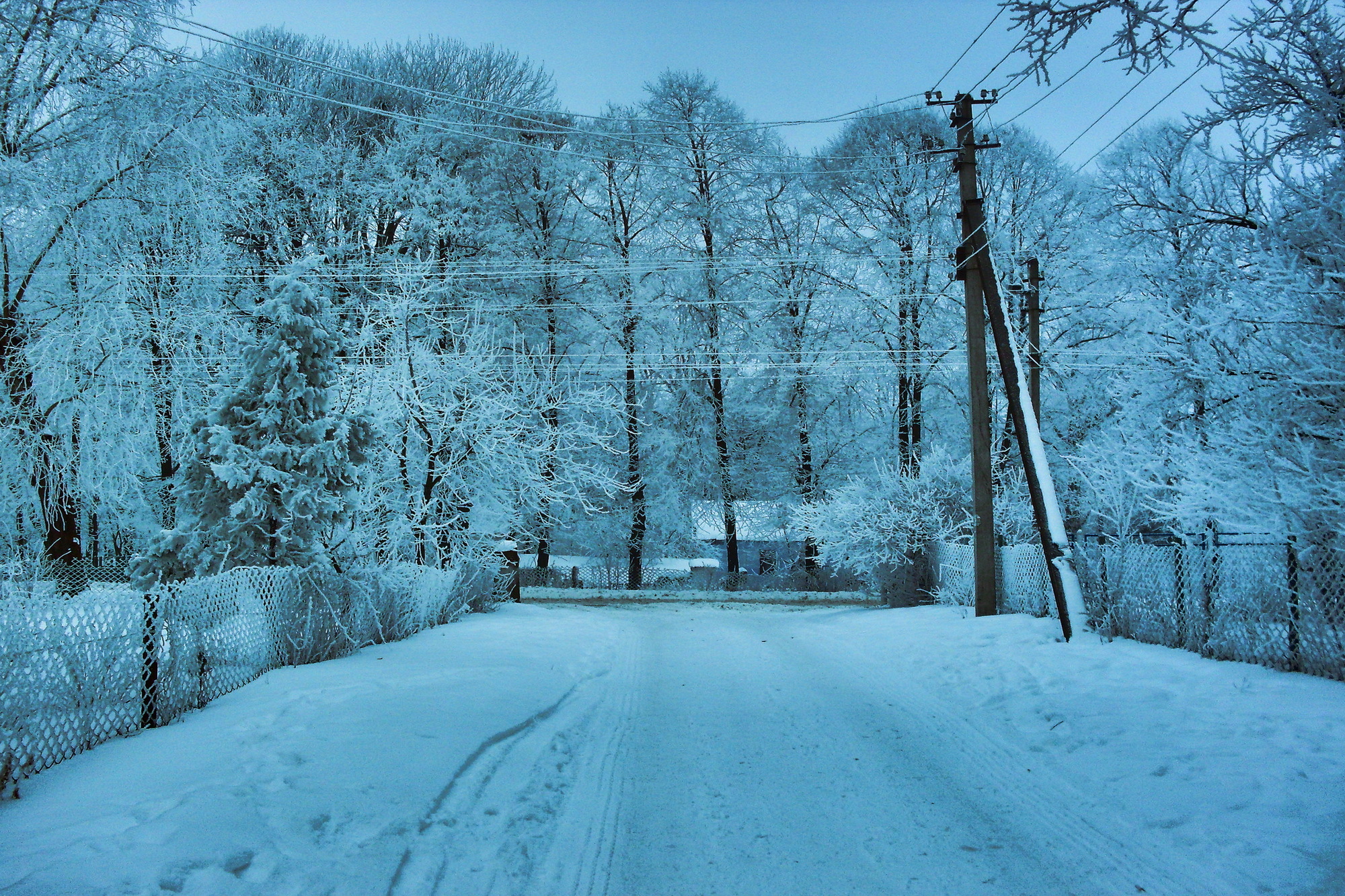 PCデスクトップに冬, 木, 雪, 道, 写真撮影画像を無料でダウンロード