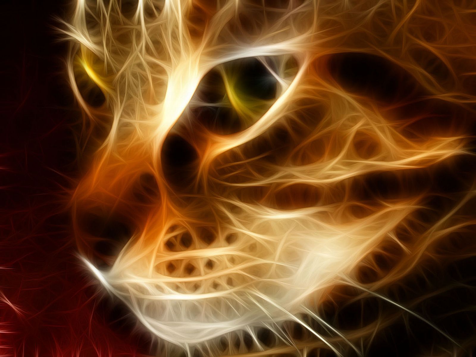 169790 descargar imagen fractales, animales, gato, gatito, gatos: fondos de pantalla y protectores de pantalla gratis