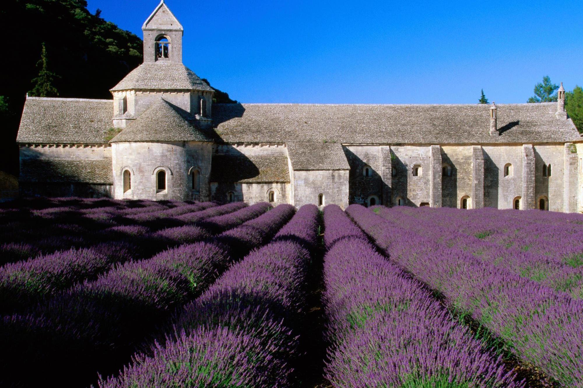 Download mobile wallpaper Lavender, Flowers, Castle, Earth for free.