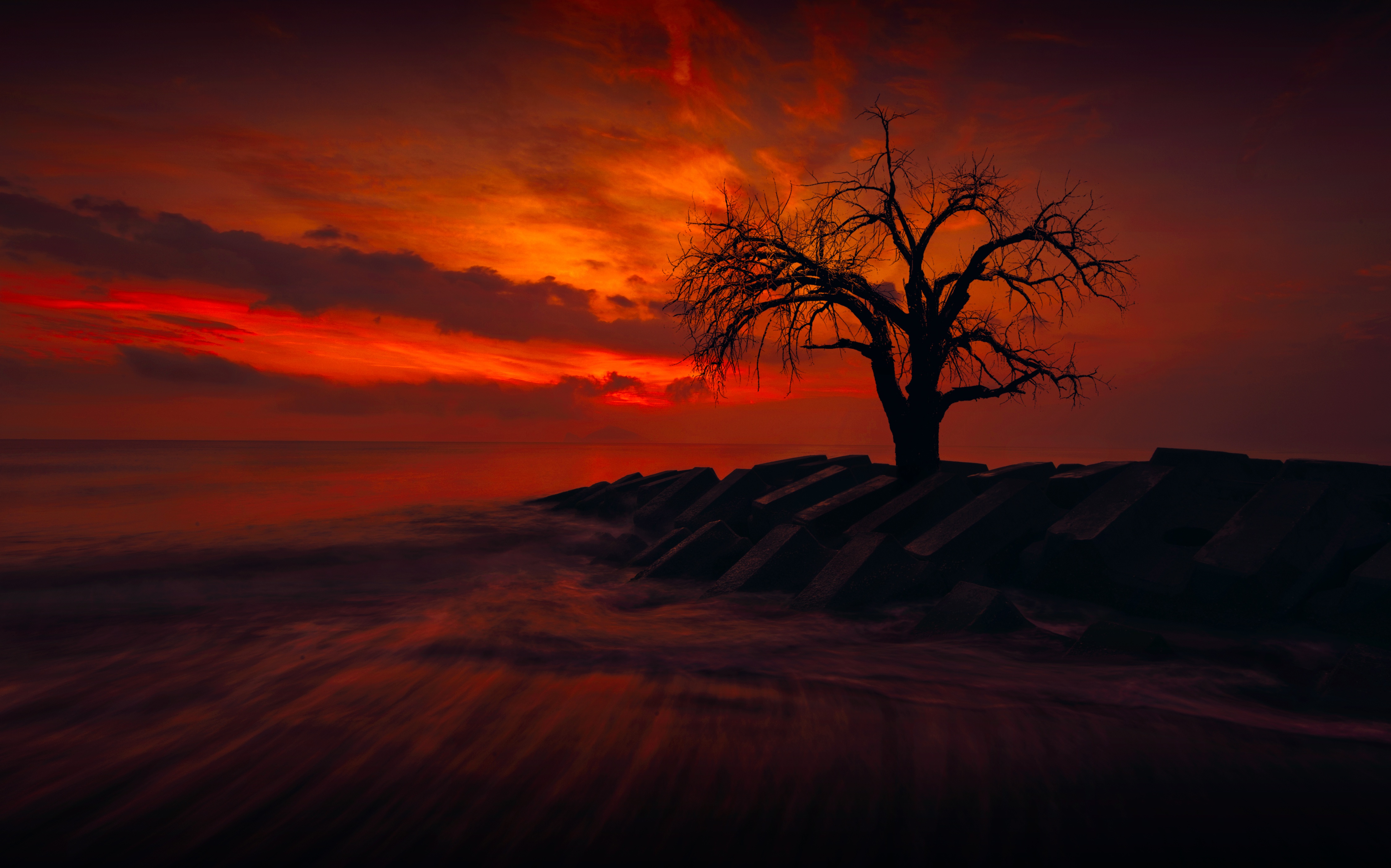 Laden Sie das Natur, Bäume, Horizont, Baum, Ozean, Himmel, Sonnenuntergang, Erde/natur, Orange Farbe), Einsamer Baum-Bild kostenlos auf Ihren PC-Desktop herunter