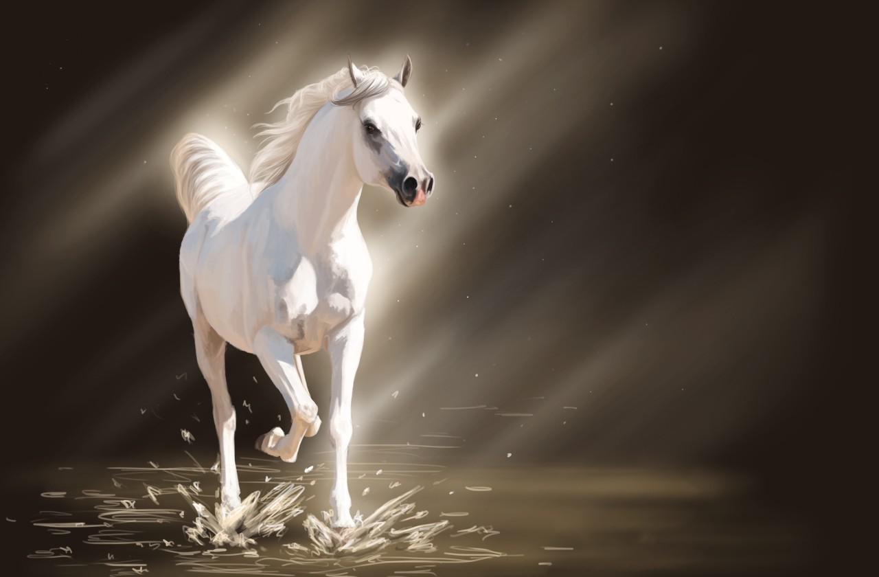 Free download wallpaper Animal, Horse on your PC desktop