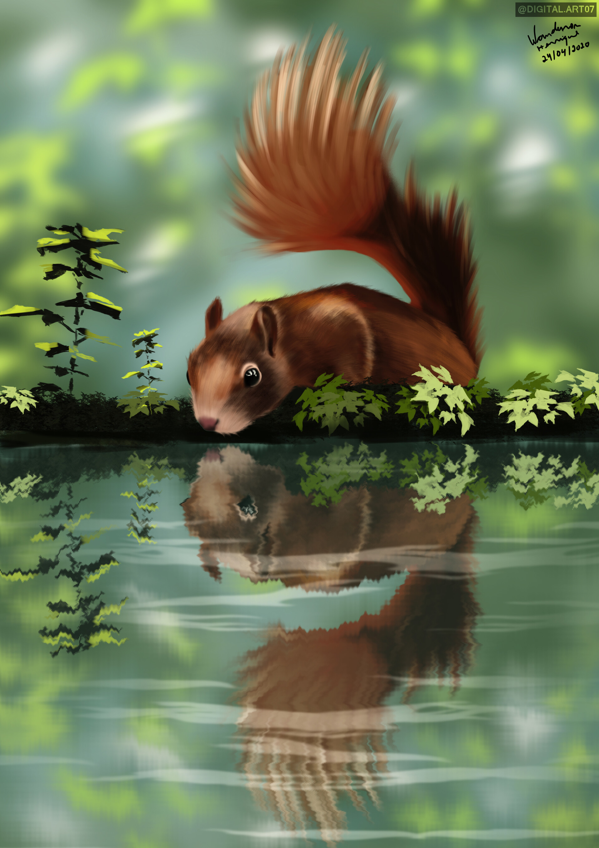 Download mobile wallpaper Reflection, Beast, Squirrel, Art for free.