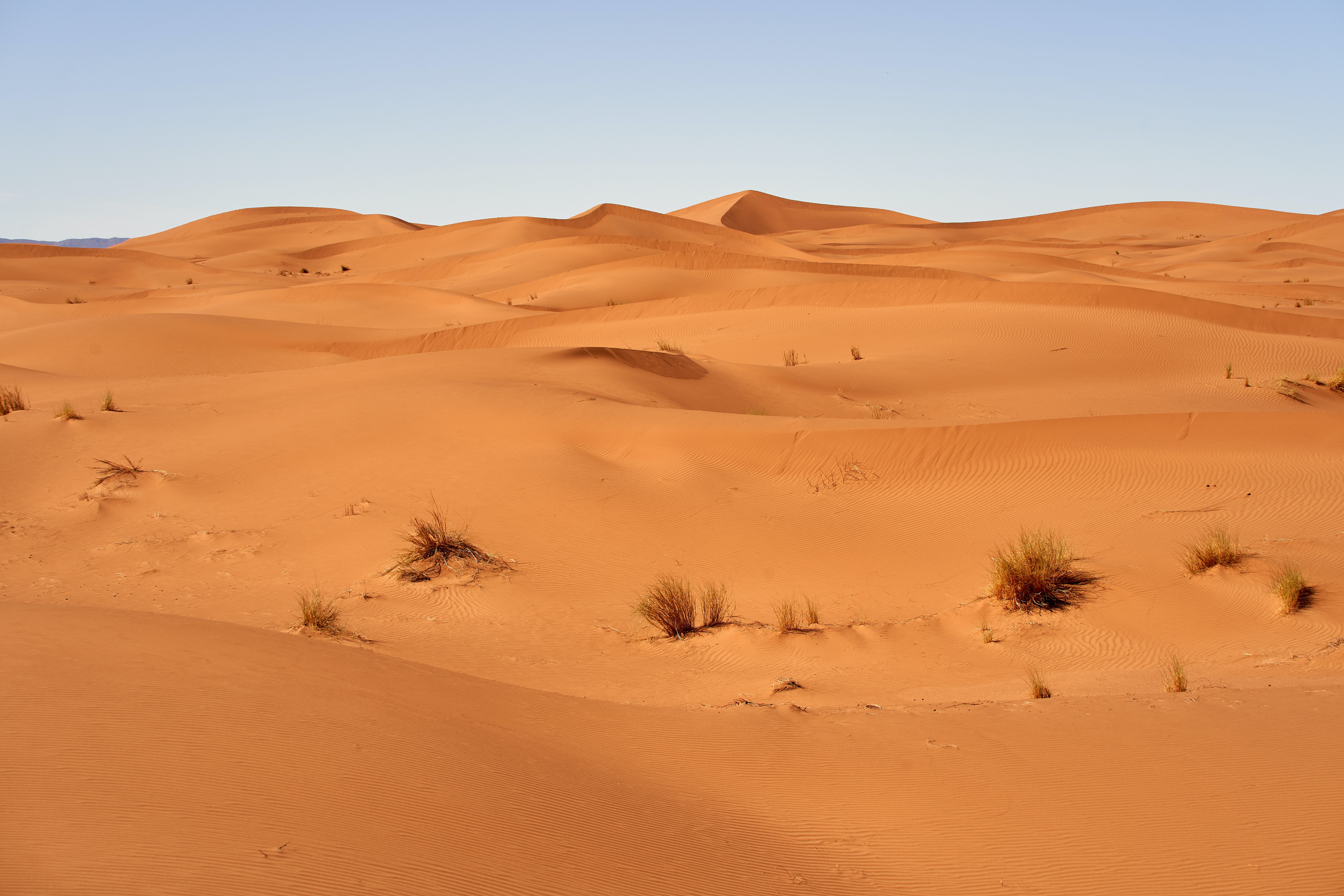 126553 скачать обои природа, пустыня, трава, небо, песок, барханы - заставки и картинки бесплатно