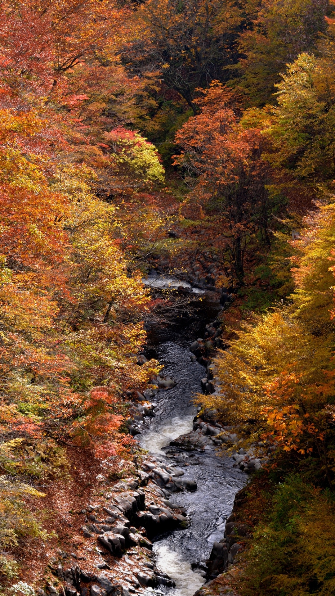 Скачать картинку Природа, Осень, Ручей, Падать, Земля/природа в телефон бесплатно.