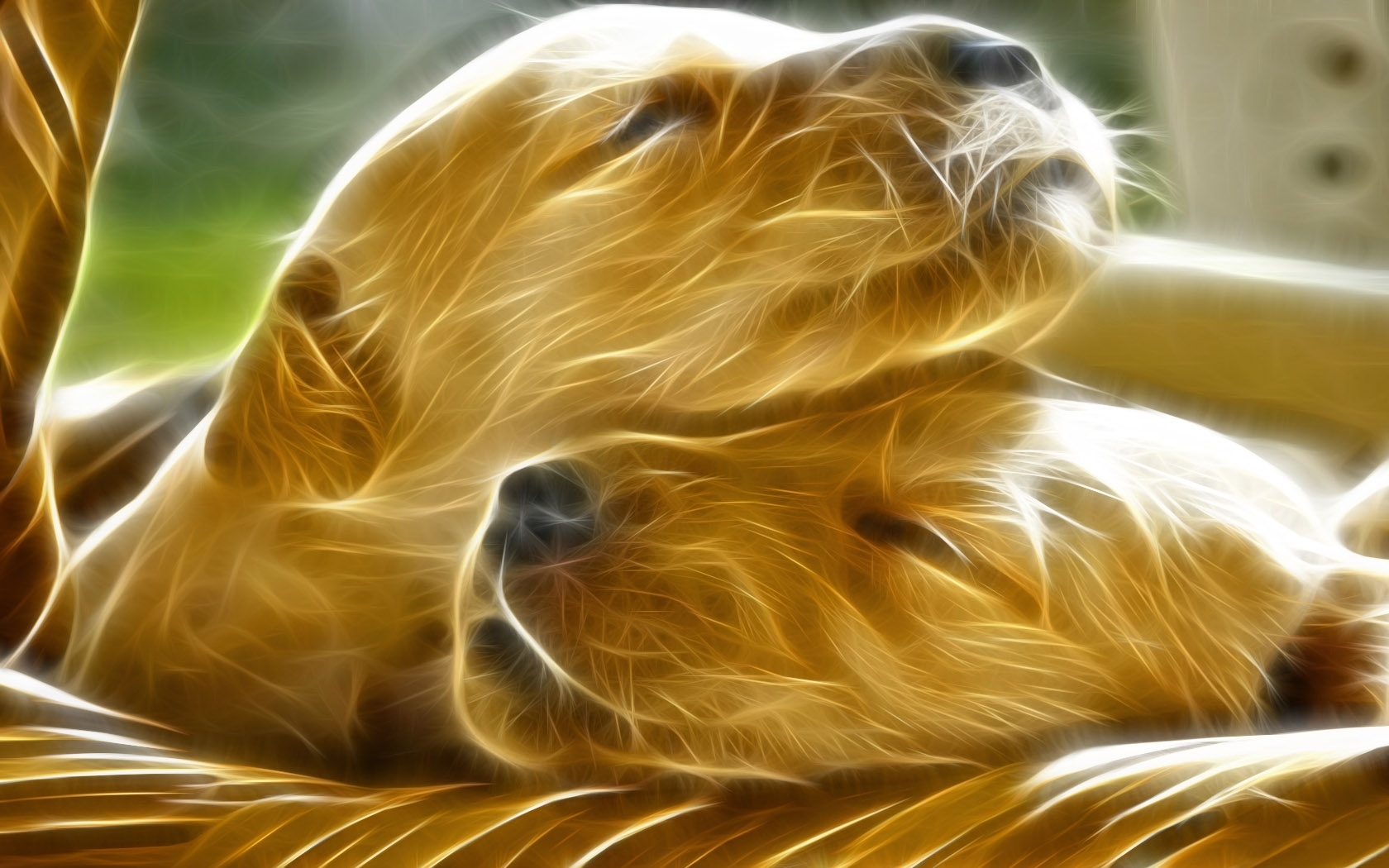 Baixe gratuitamente a imagem Cães, Imagens, Arte na área de trabalho do seu PC