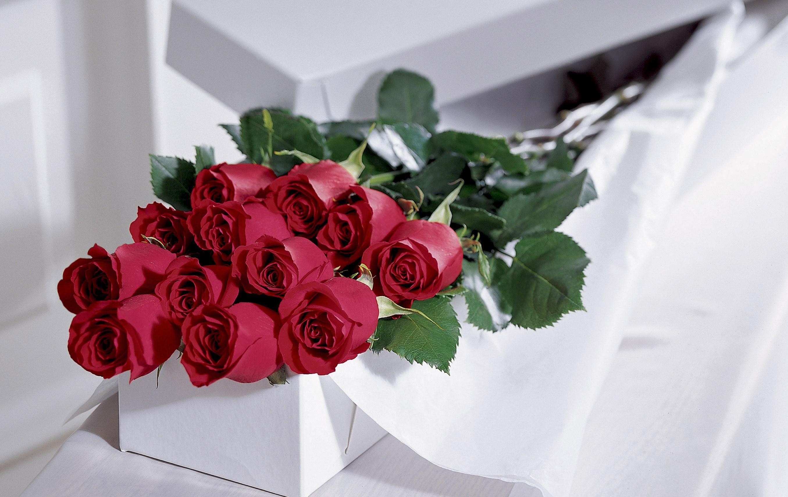 91524 скачать обои розы, шикарно, букет, цветы, коробка - заставки и картинки бесплатно
