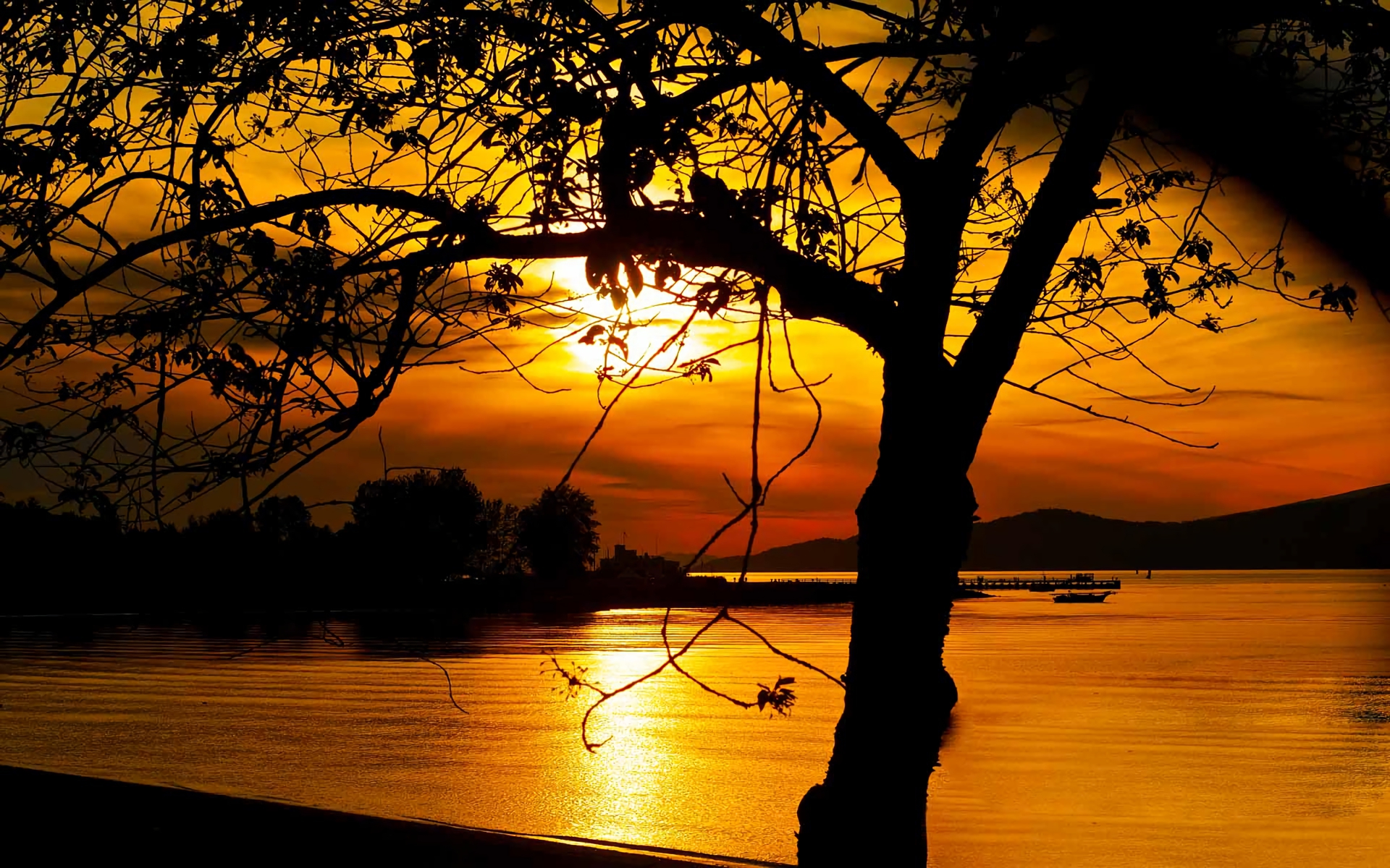 Free download wallpaper Sunset, Lake, Silhouette, Tree, Earth, Photography on your PC desktop