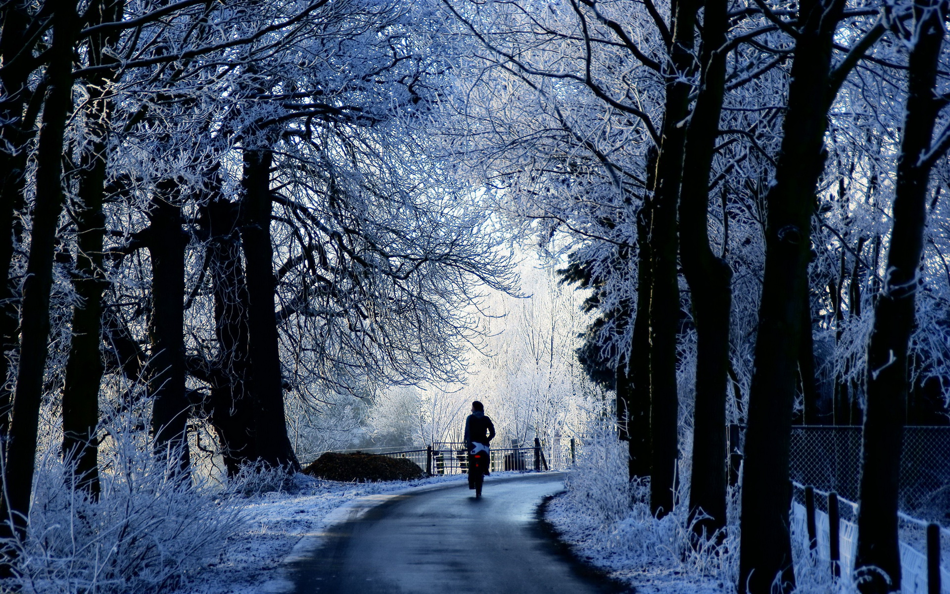 Baixar papel de parede para celular de Inverno, Fotografia gratuito.