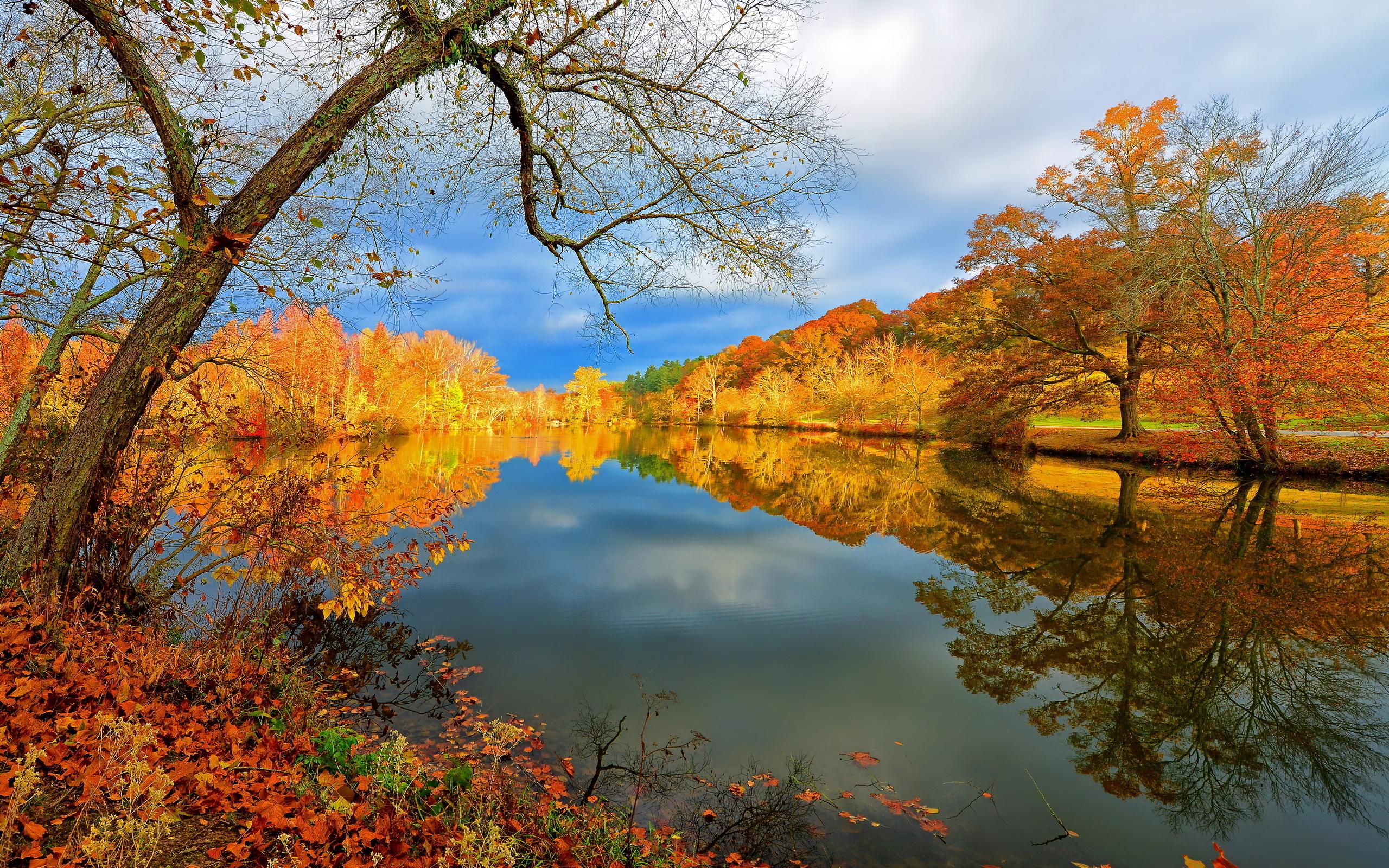 Скачать обои бесплатно Осень, Озеро, Отражение, Дерево, Земля/природа картинка на рабочий стол ПК