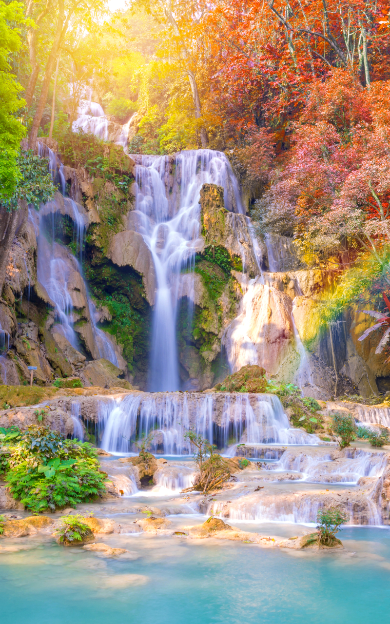 Скачать картинку Осень, Водопады, Водопад, Лес, Падать, Земля/природа в телефон бесплатно.