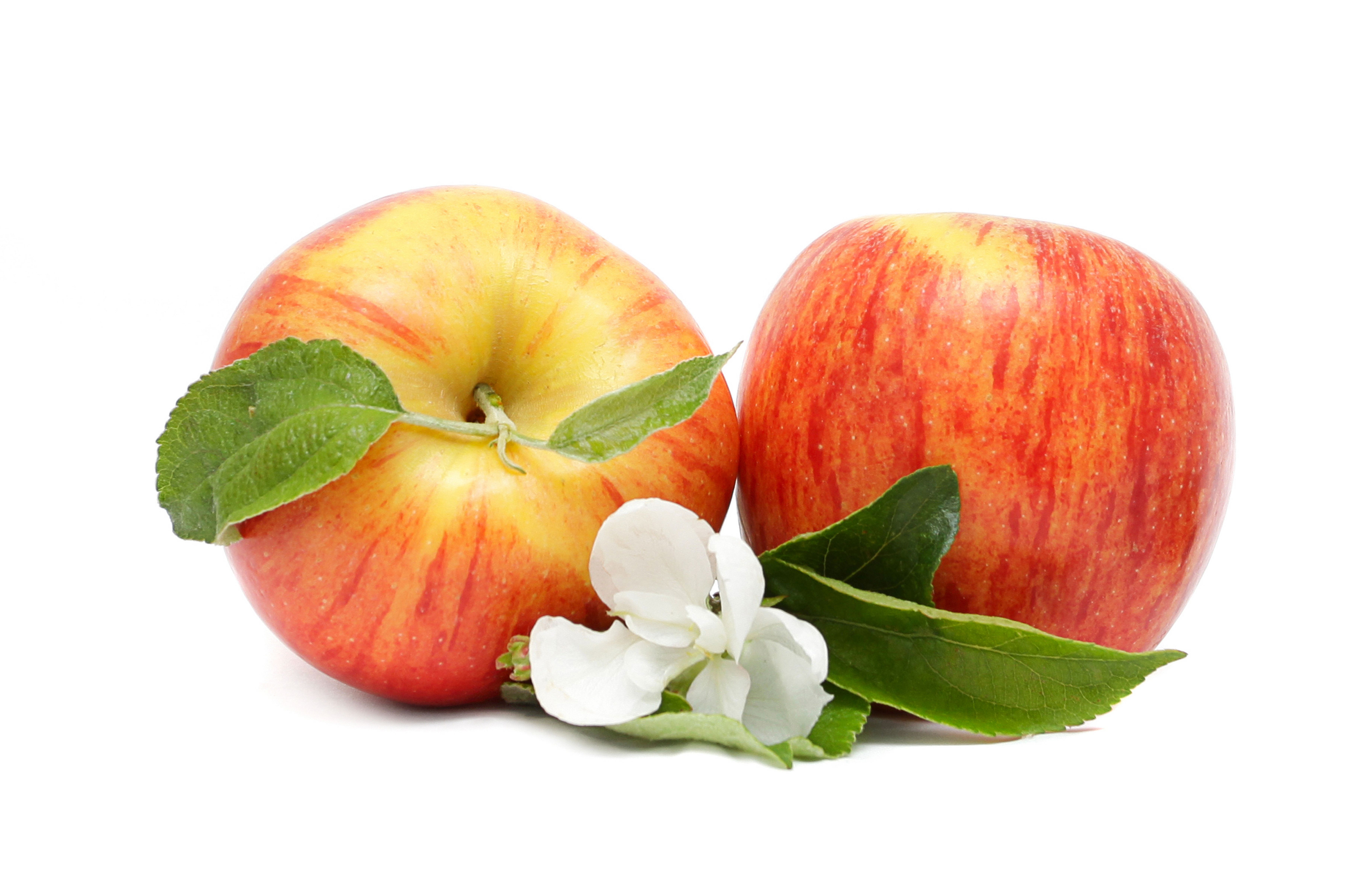 Free download wallpaper Fruits, Food, Apple, Fruit on your PC desktop