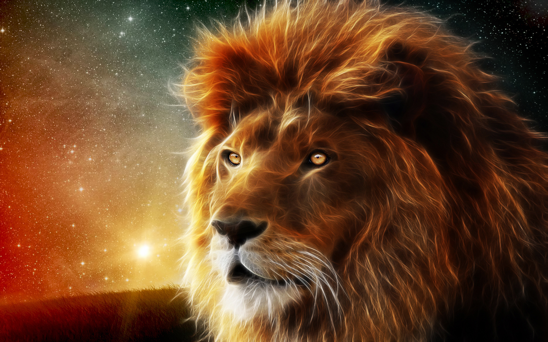 lion, cats, animal HD for desktop 1080p