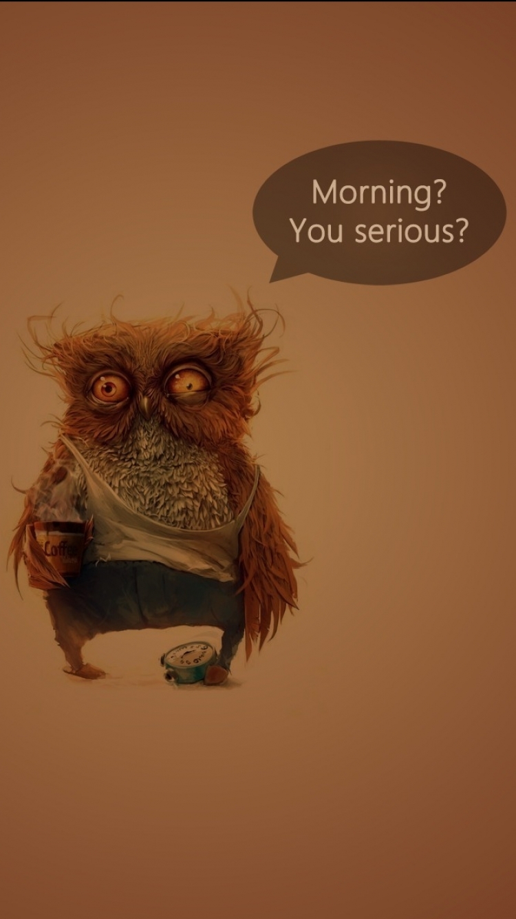 Download mobile wallpaper Owl, Animal, Humor for free.