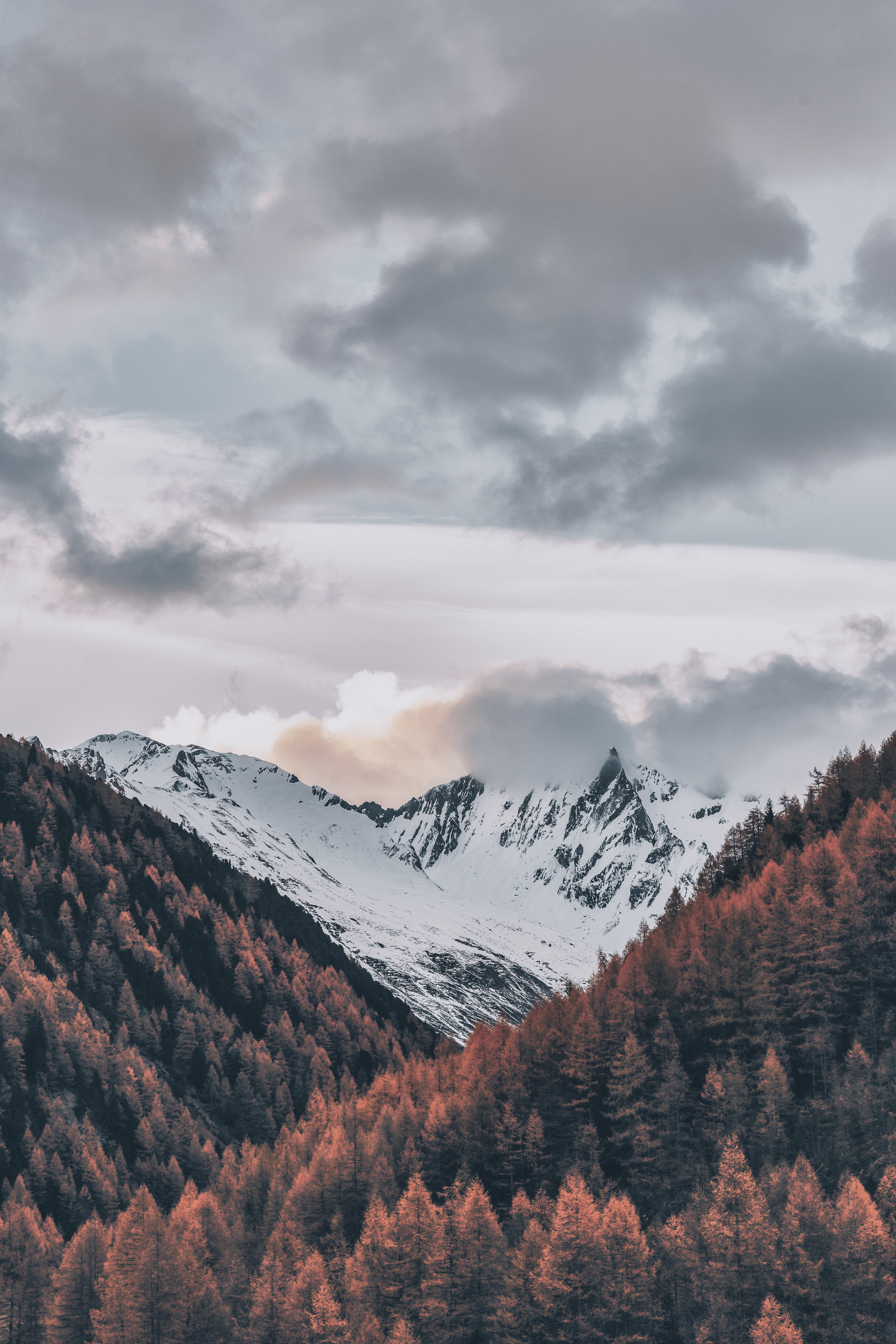 PCデスクトップに自然, 木, スカイ, 山脈, 雲, 上から見る, 雪に覆われた, 積雪, イタリア画像を無料でダウンロード