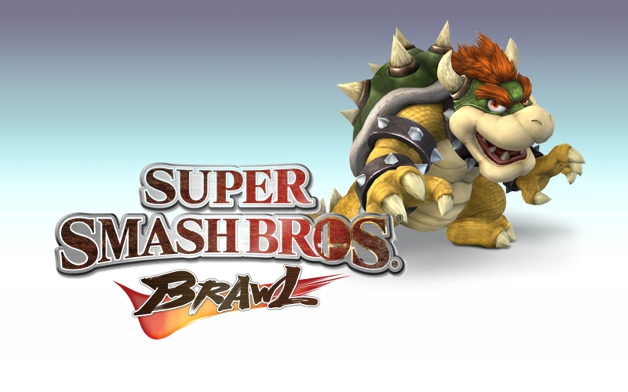 video game, super smash bros brawl