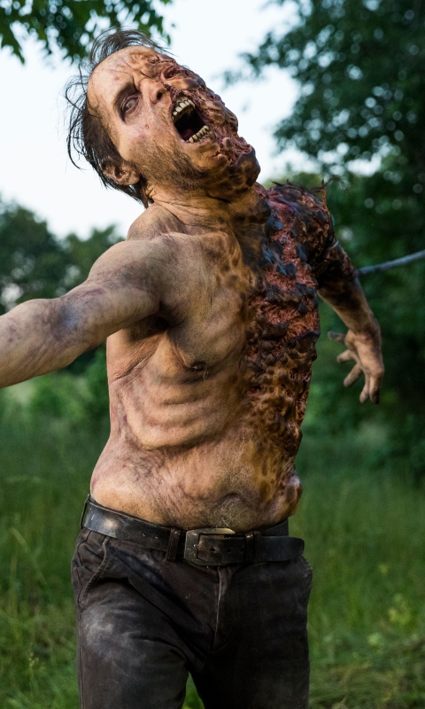 Download mobile wallpaper Tv Show, Zombie, The Walking Dead for free.