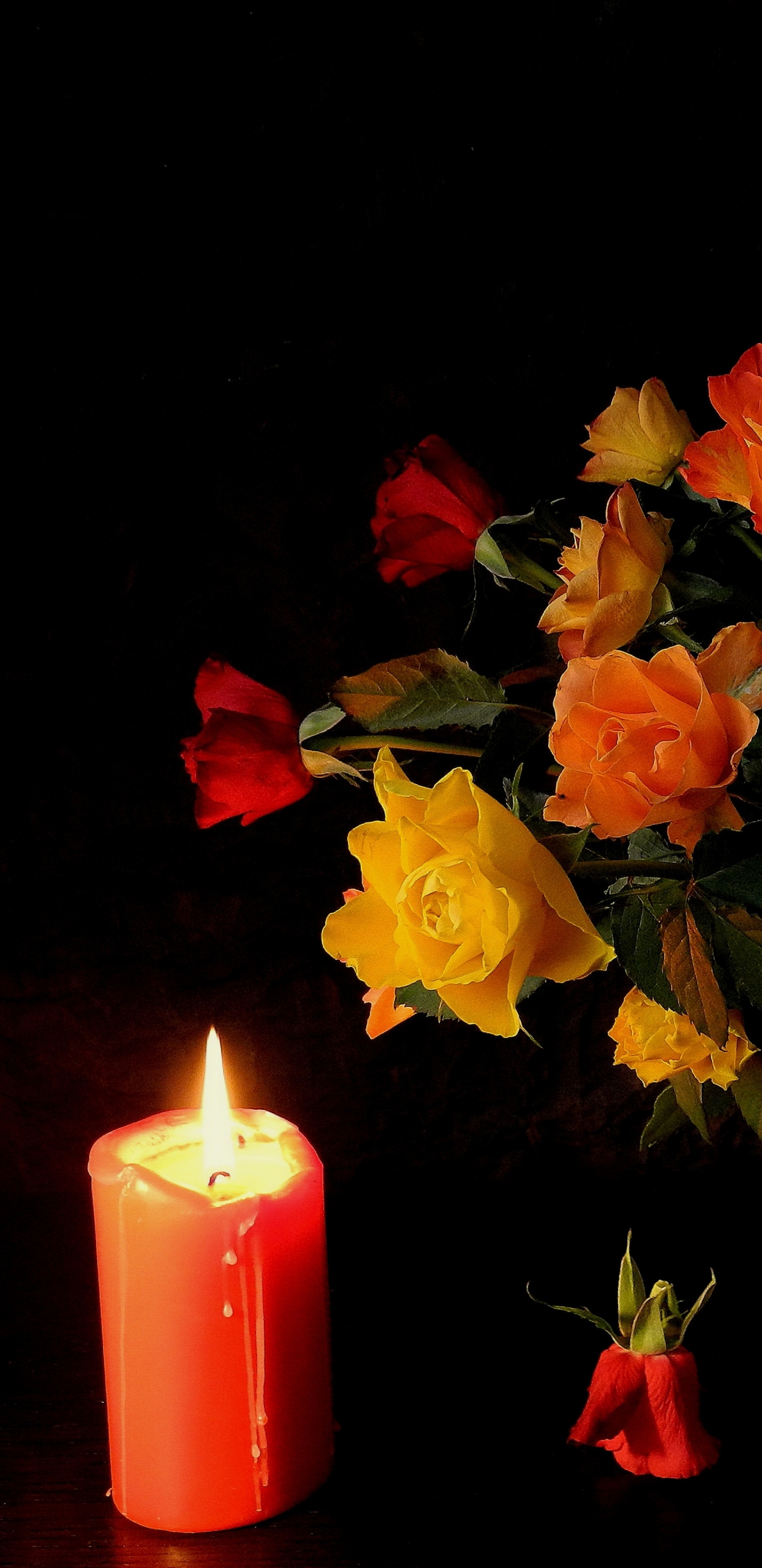 Download mobile wallpaper Still Life, Rose, Colors, Candle, Photography, Yellow Flower, Orange Flower for free.