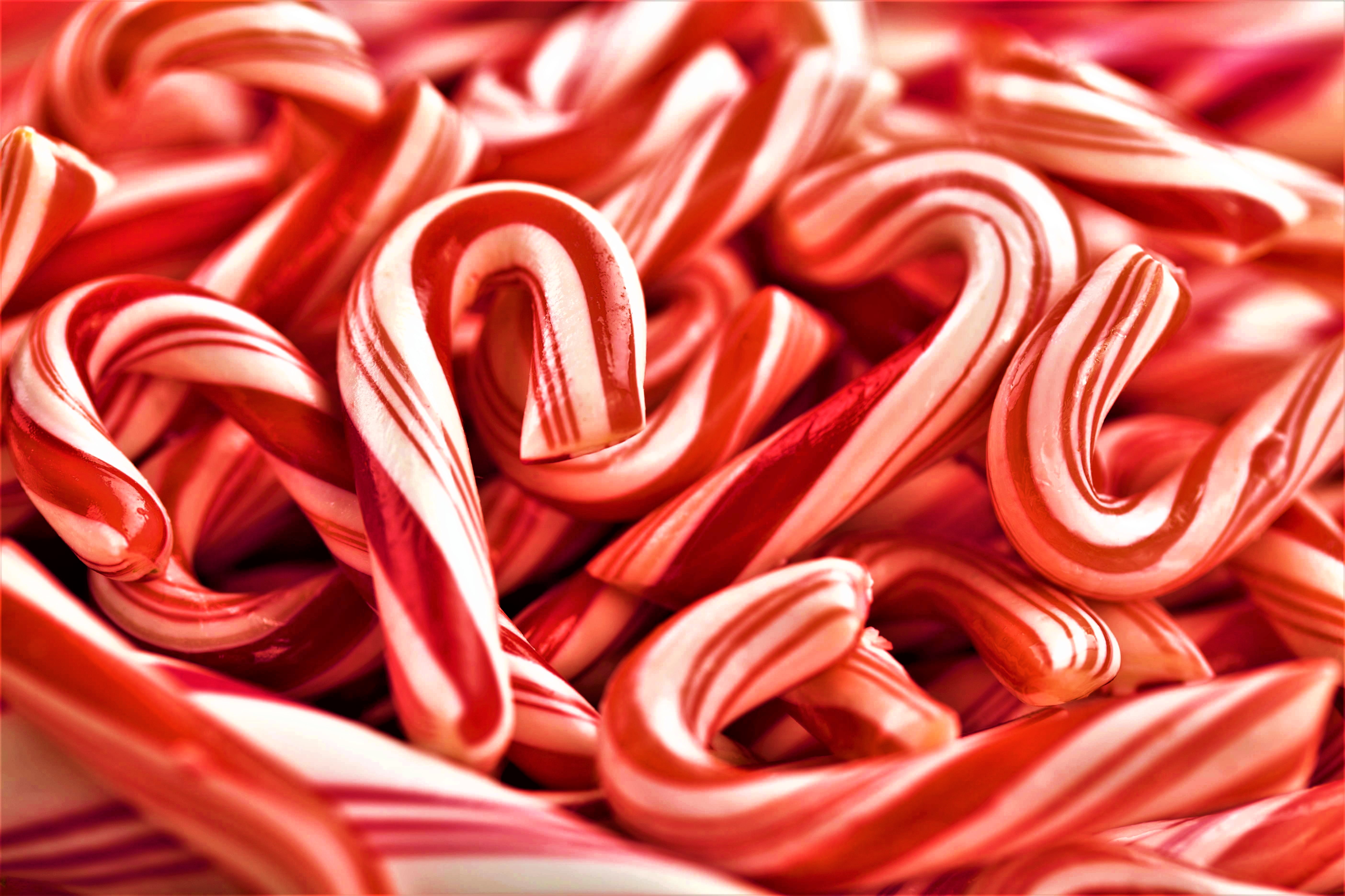 Free download wallpaper Food, Christmas, Holiday, Candy Cane on your PC desktop
