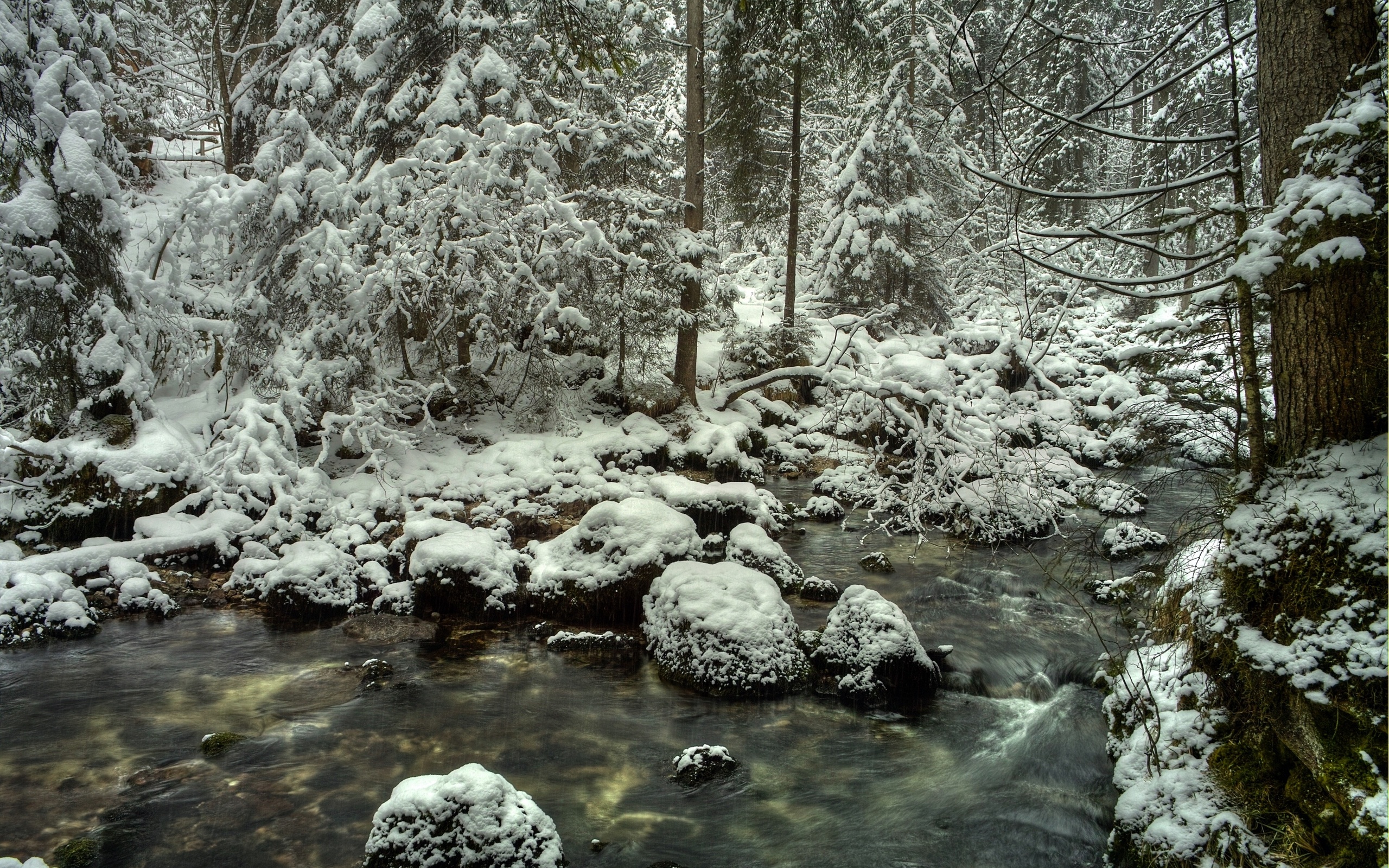 Baixar papel de parede para celular de Inverno, Terra/natureza gratuito.