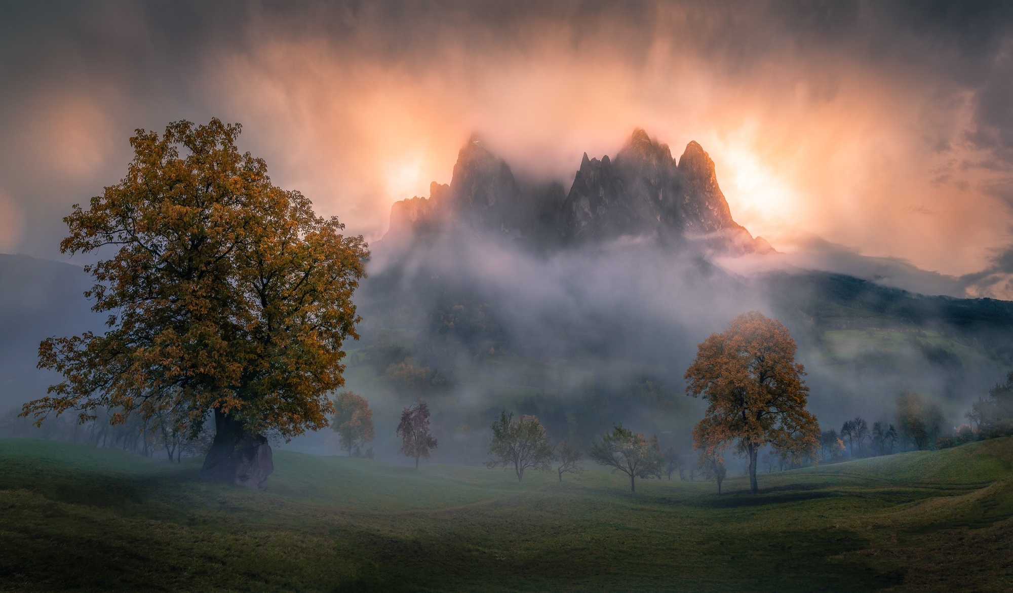 Free download wallpaper Nature, Grass, Mountains, Mountain, Tree, Fog, Earth on your PC desktop