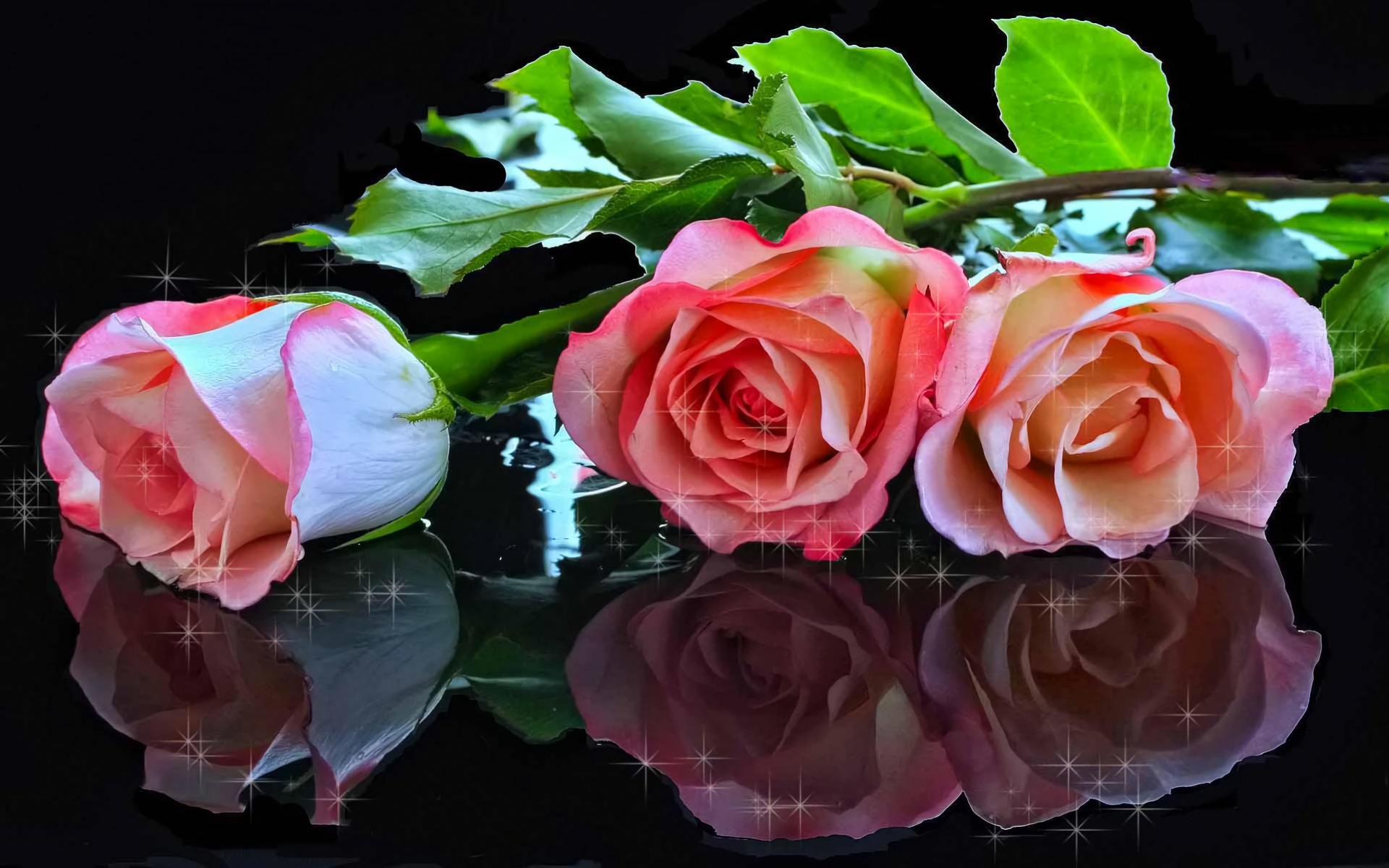 Free download wallpaper Reflection, Rose, Artistic, Sparkles, Pink Flower on your PC desktop