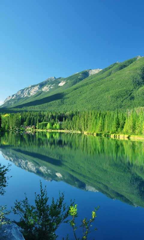 Handy-Wallpaper Landschaft, Berg, See, Kanada, Wald, Baum, Gebirge, Banff Nationalpark, Erde/natur, Spiegelung kostenlos herunterladen.