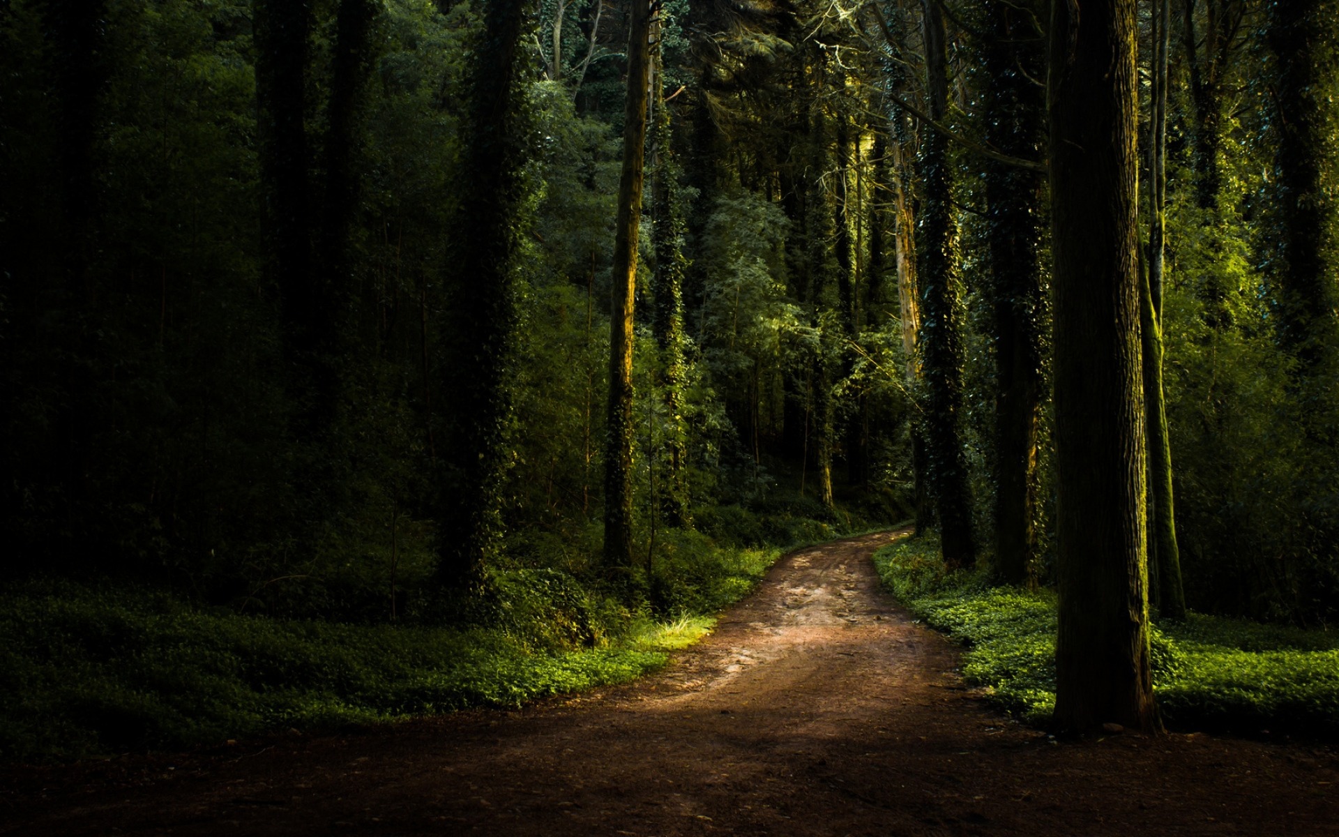 Free download wallpaper Nature, Dark, Forest, Tree, Path, Man Made on your PC desktop