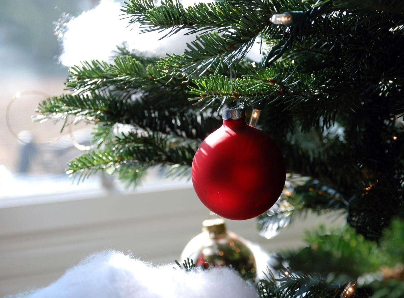 holidays, close up, branch, ball, needles, christmas tree toy Full HD