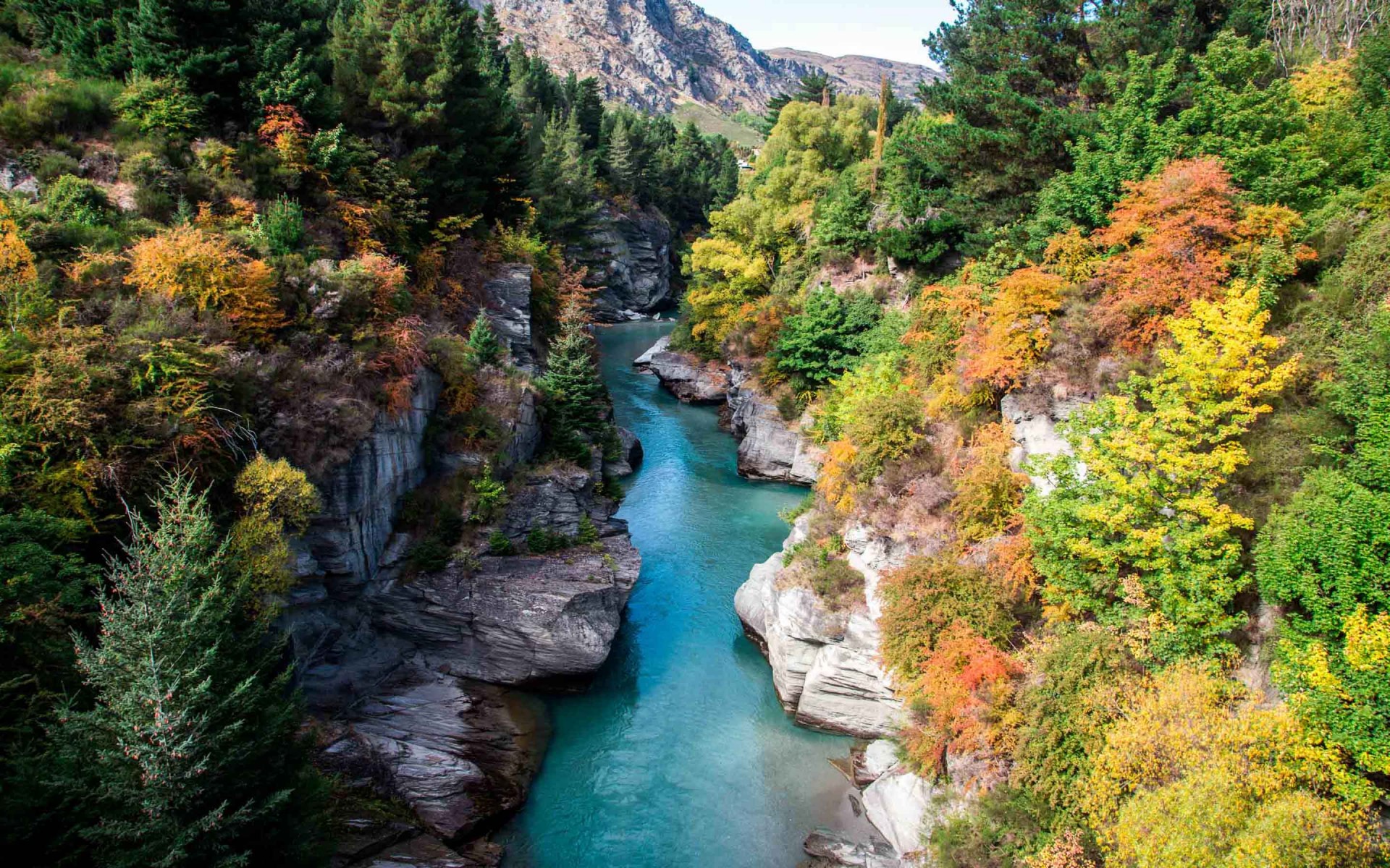 Скачать картинку Река, Осень, Гора, Лес, Дерево, Ландшафт, Земля/природа в телефон бесплатно.