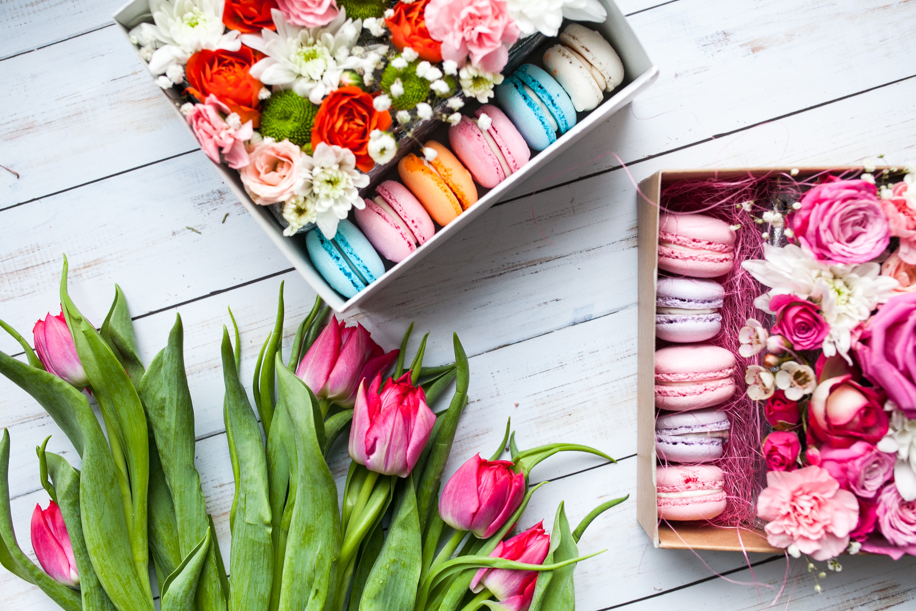 Téléchargez gratuitement l'image Nourriture, Fleur, Tulipe, Sucreries, Macaron, Nature Morte sur le bureau de votre PC