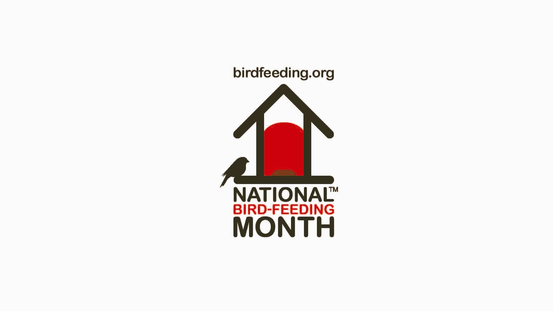 Free download wallpaper Misc, National Bird Feeding Month on your PC desktop