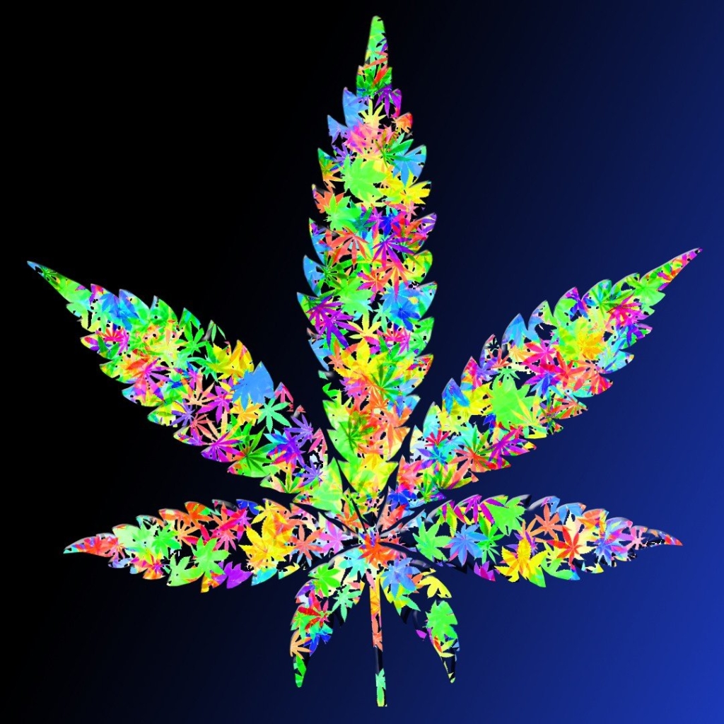 artistic, marijuana, colors, colorful, leaf