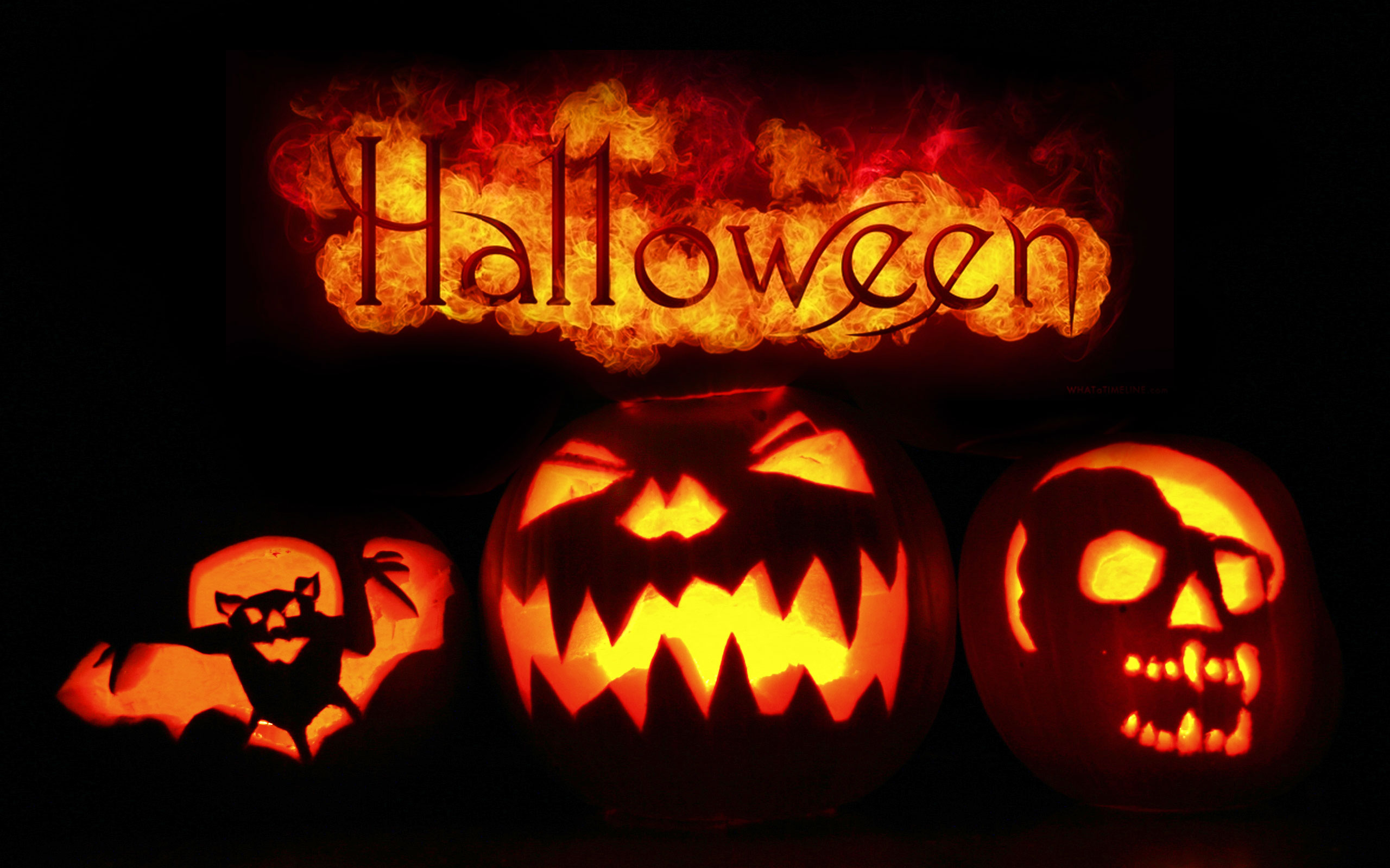 Download mobile wallpaper Halloween, Holiday, Bat, Jack O' Lantern for free.