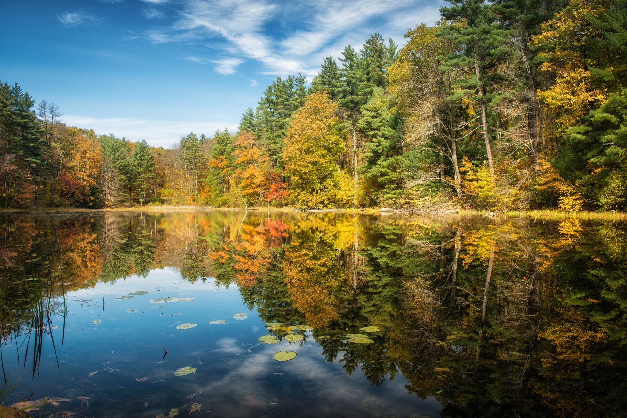 Скачать обои бесплатно Отражение, Лес, Деревья, Природа, Озеро, Осень картинка на рабочий стол ПК