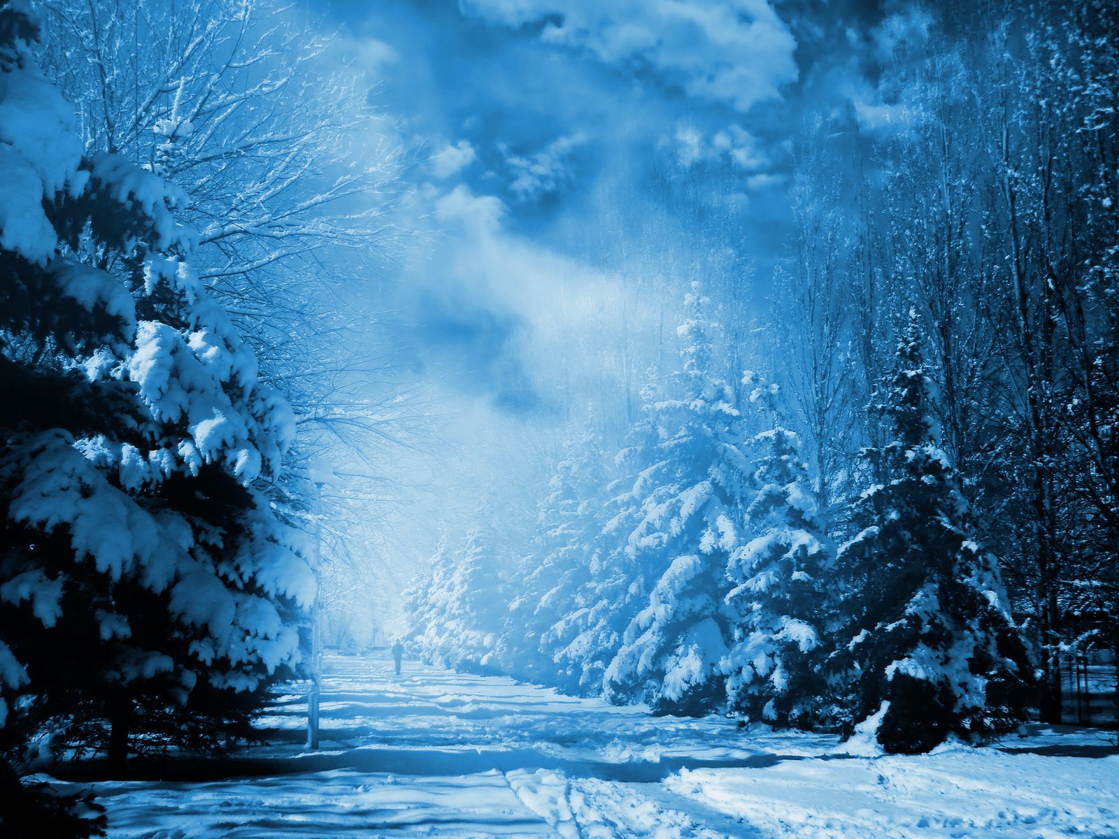 Завантажити шпалери безкоштовно Зима, Фотографія картинка на робочий стіл ПК