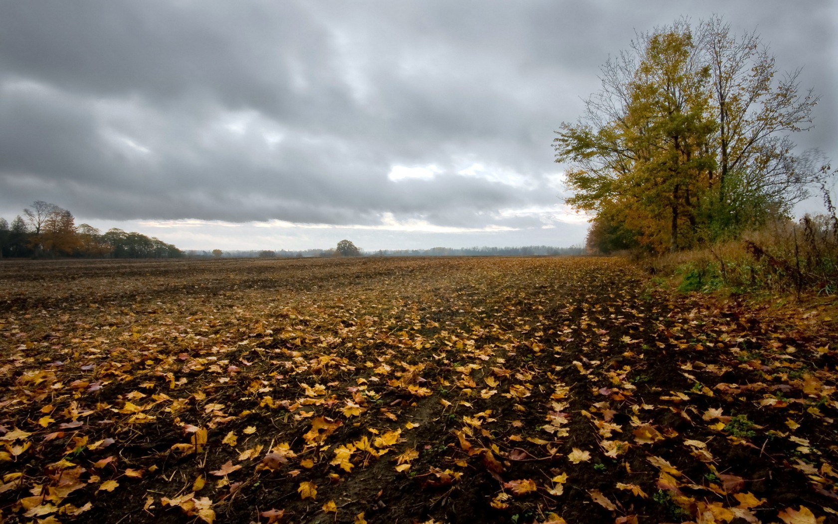 Handy-Wallpaper Herbst, Erde/natur kostenlos herunterladen.