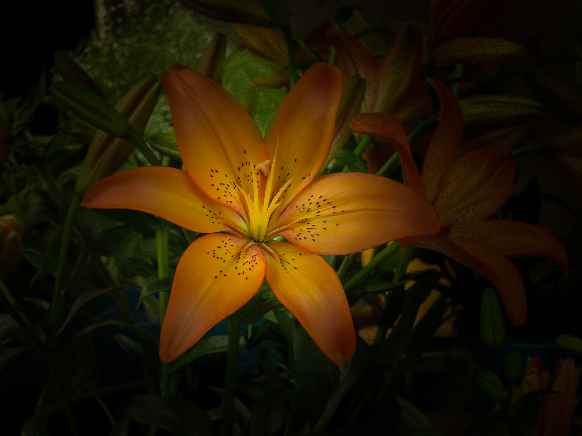 Free download wallpaper Flowers, Flower, Earth, Lily on your PC desktop