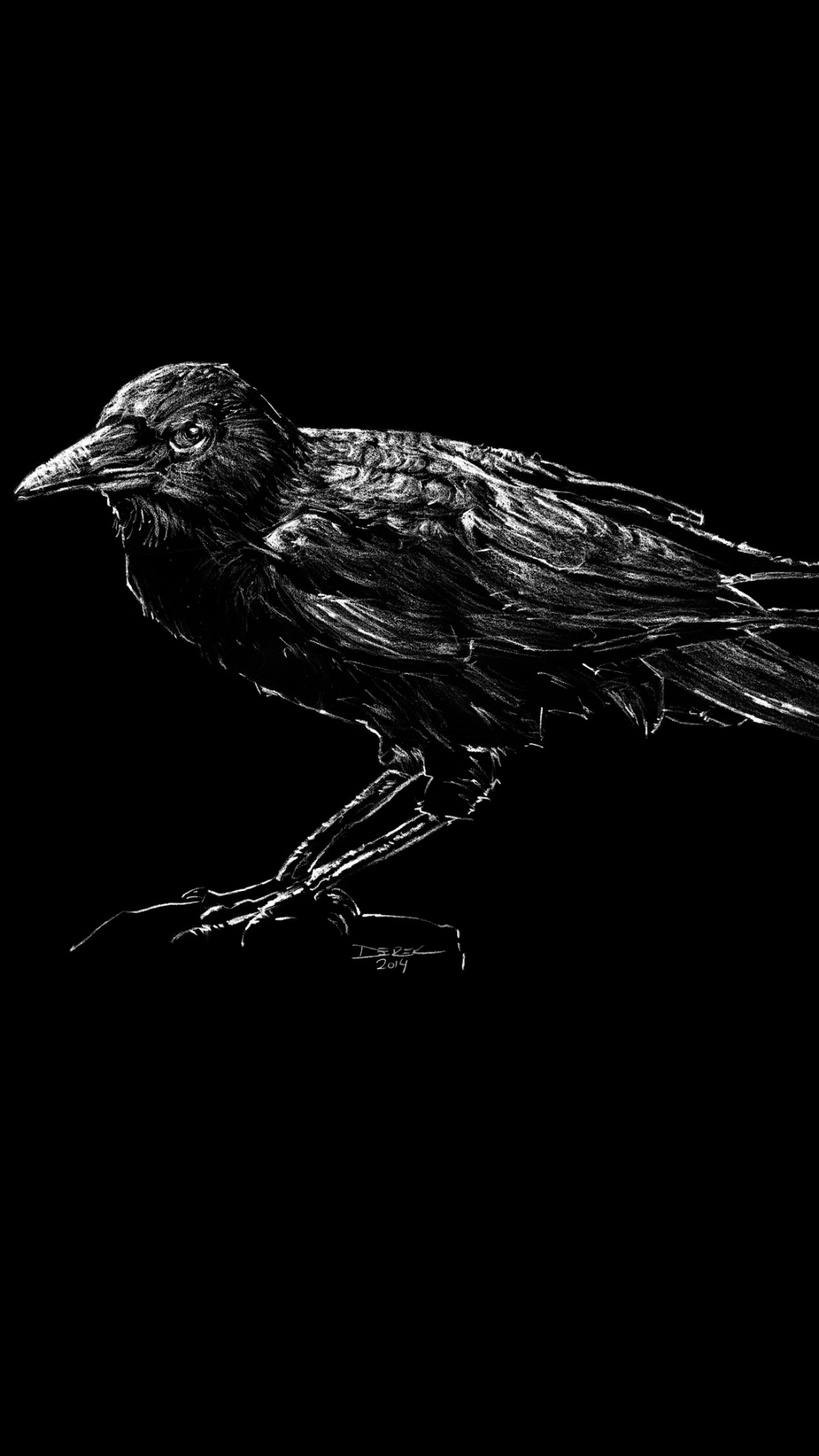 Téléchargez des papiers peints mobile Animaux, Oiseau, Le Noir, Corbeau gratuitement.