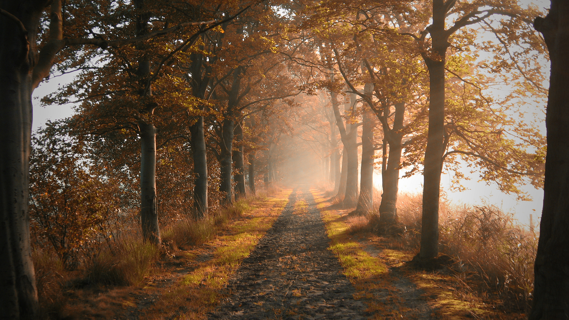 Descarga gratuita de fondo de pantalla para móvil de Camino, Hecho Por El Hombre.