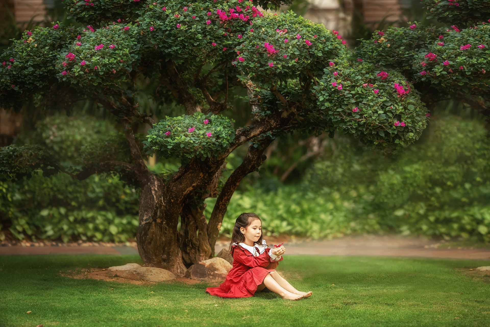 Laden Sie das Baum, Kind, Stimmung, Blüte, Fotografie, Kleines Mädchen-Bild kostenlos auf Ihren PC-Desktop herunter