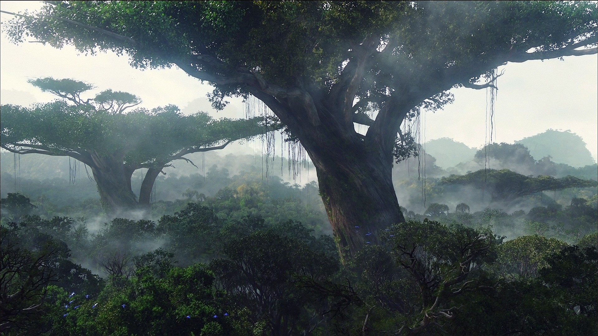 546537 завантажити картинку туман, ліс, художній, пейзаж, cgi, джунглі - шпалери і заставки безкоштовно