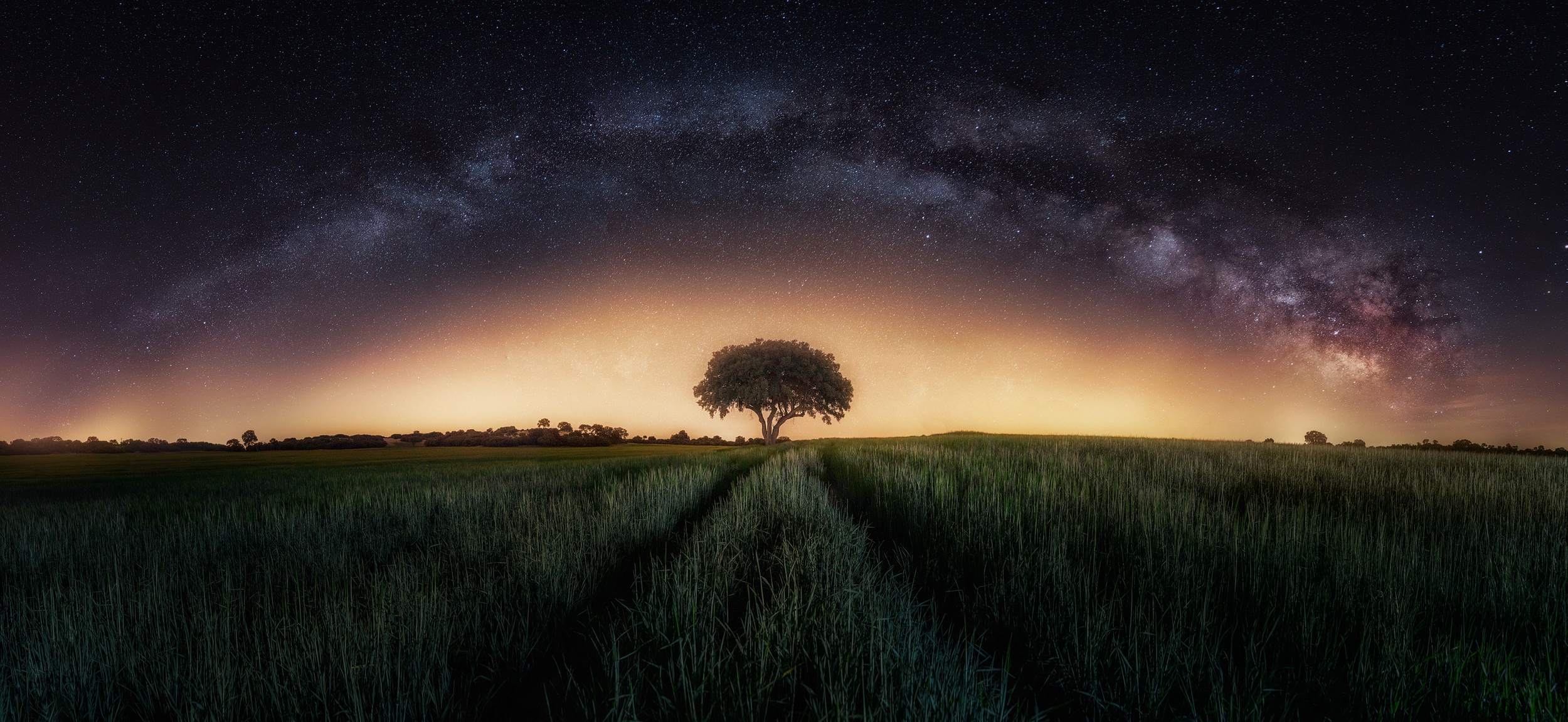 Descarga gratis la imagen Cielo, Noche, Cielo Estrellado, Campo, Tierra/naturaleza en el escritorio de tu PC